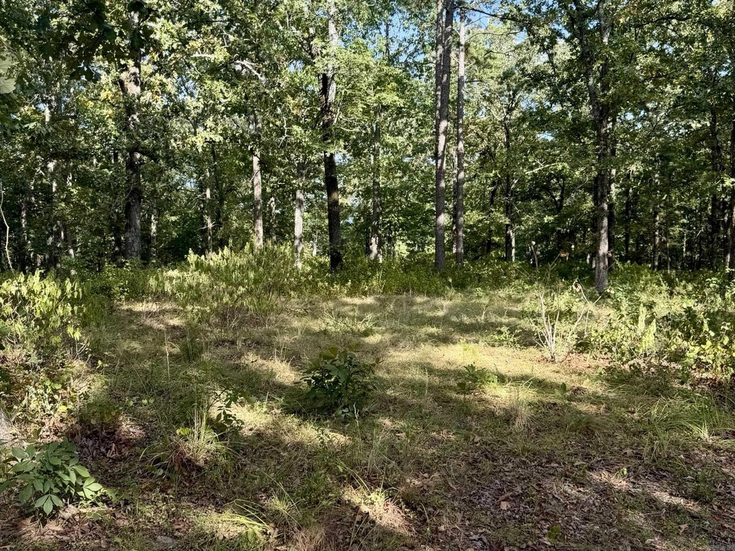 Lot 75 Cobalt Bay Dr. Property Photo 19