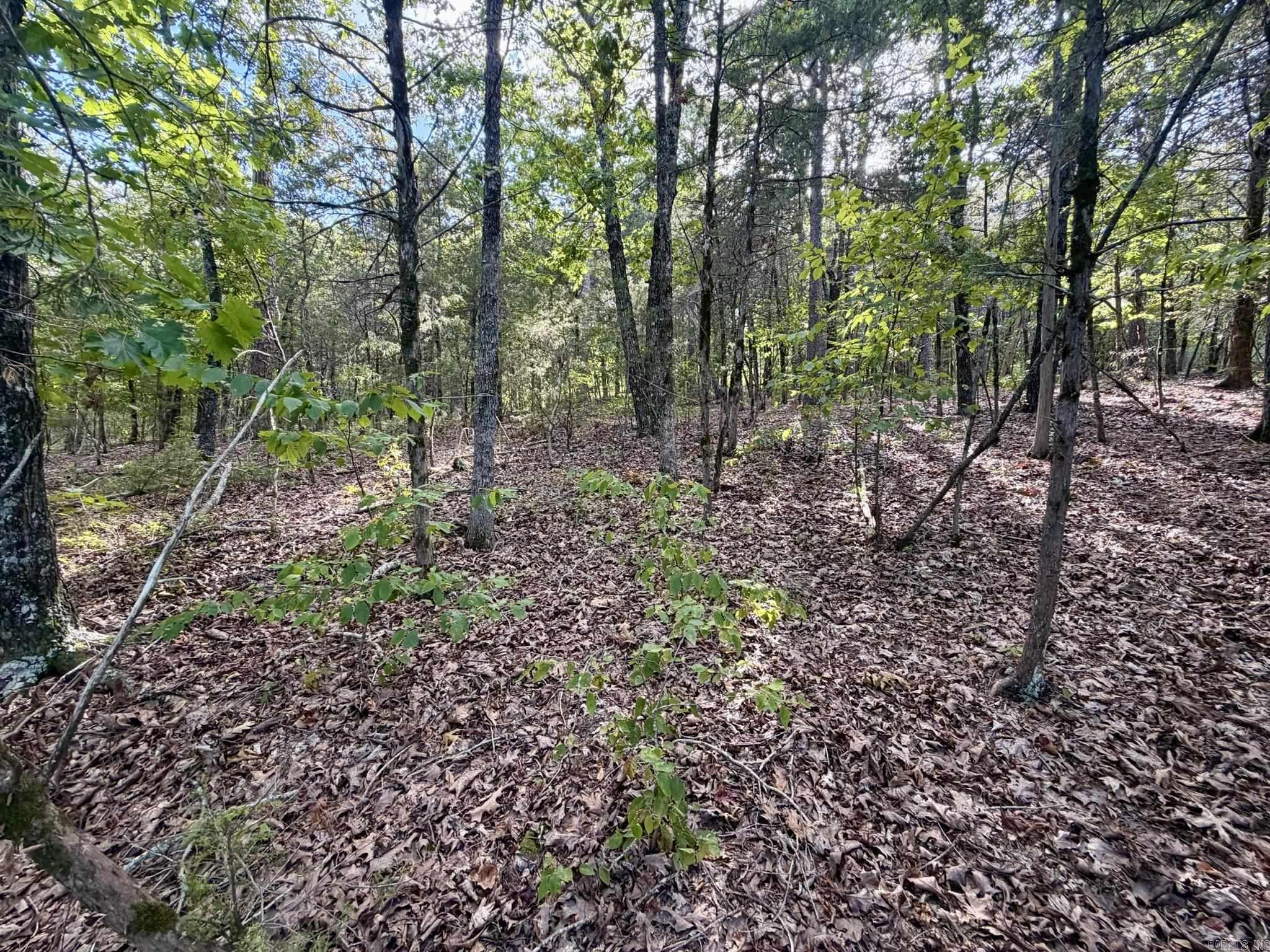 Lot 75 Cobalt Bay Dr. Property Photo 22