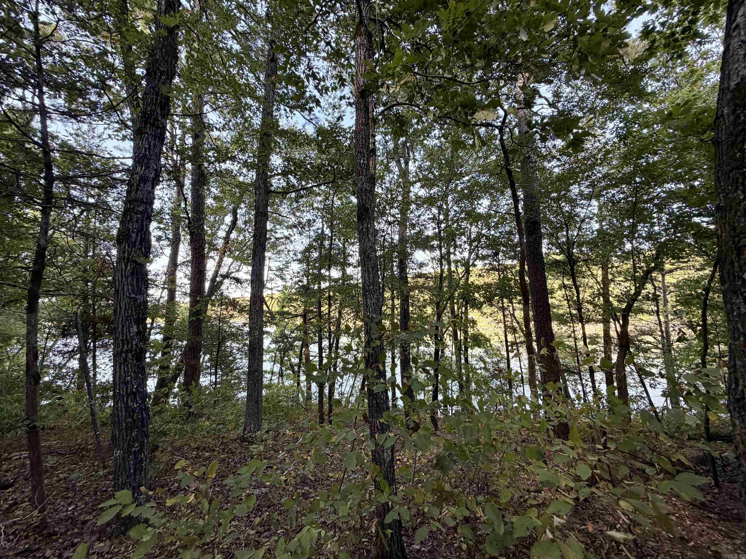 Lot 75 Cobalt Bay Dr. Property Photo 25