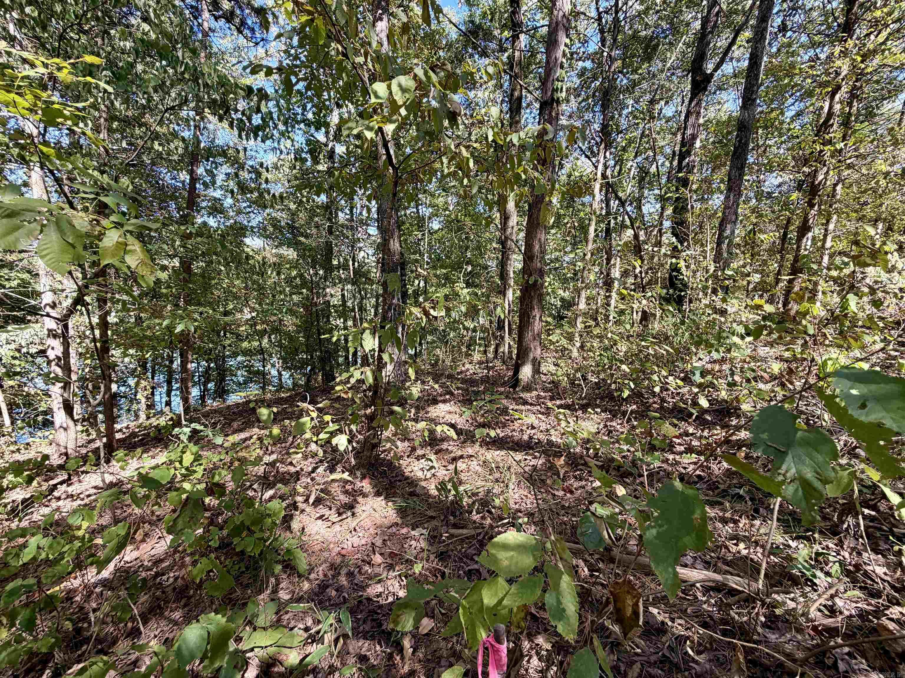 Lot 75 Cobalt Bay Dr. Property Photo 26