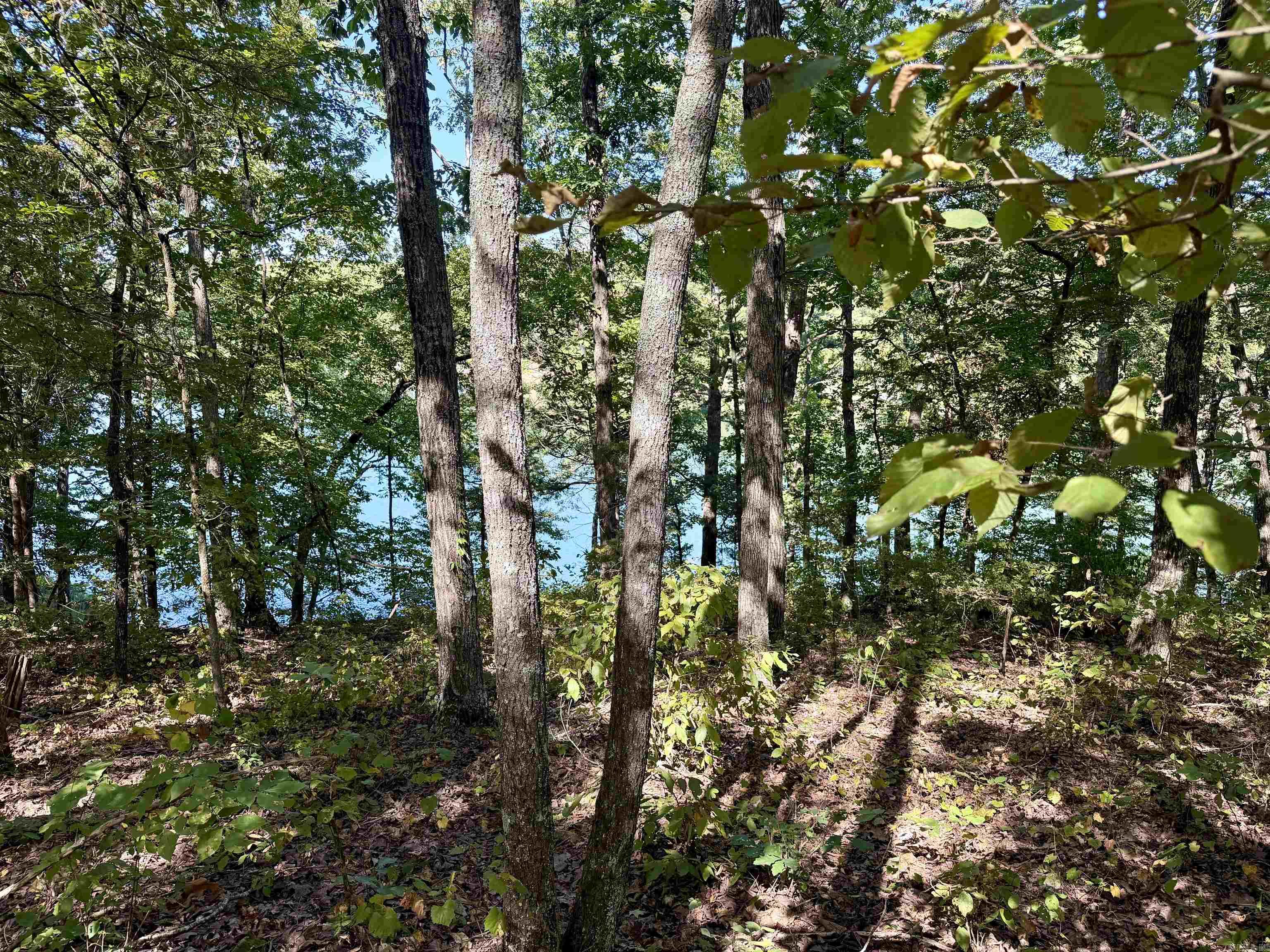Lot 75 Cobalt Bay Dr. Property Photo 27