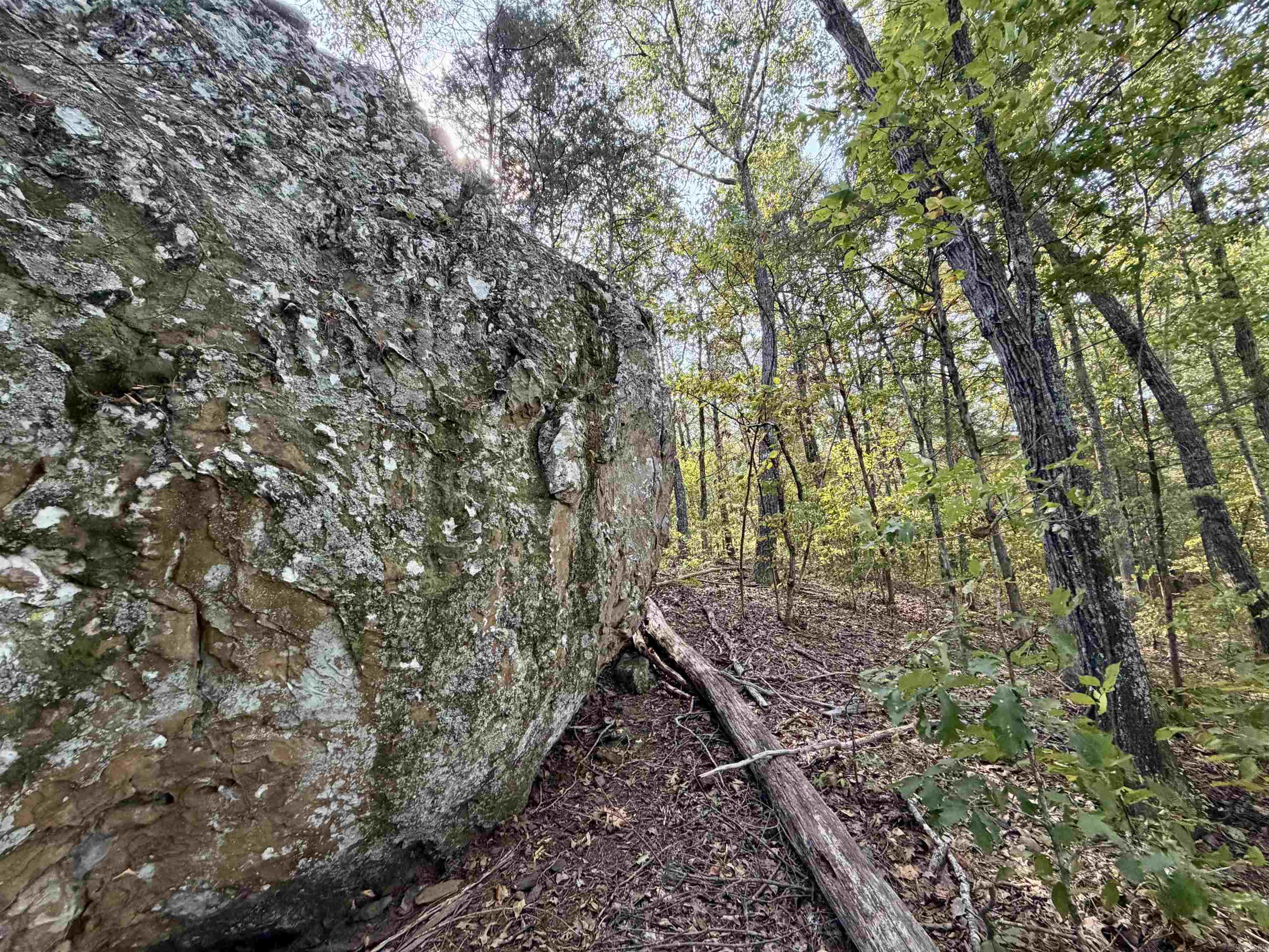 Lot 75 Cobalt Bay Dr. Property Photo 28