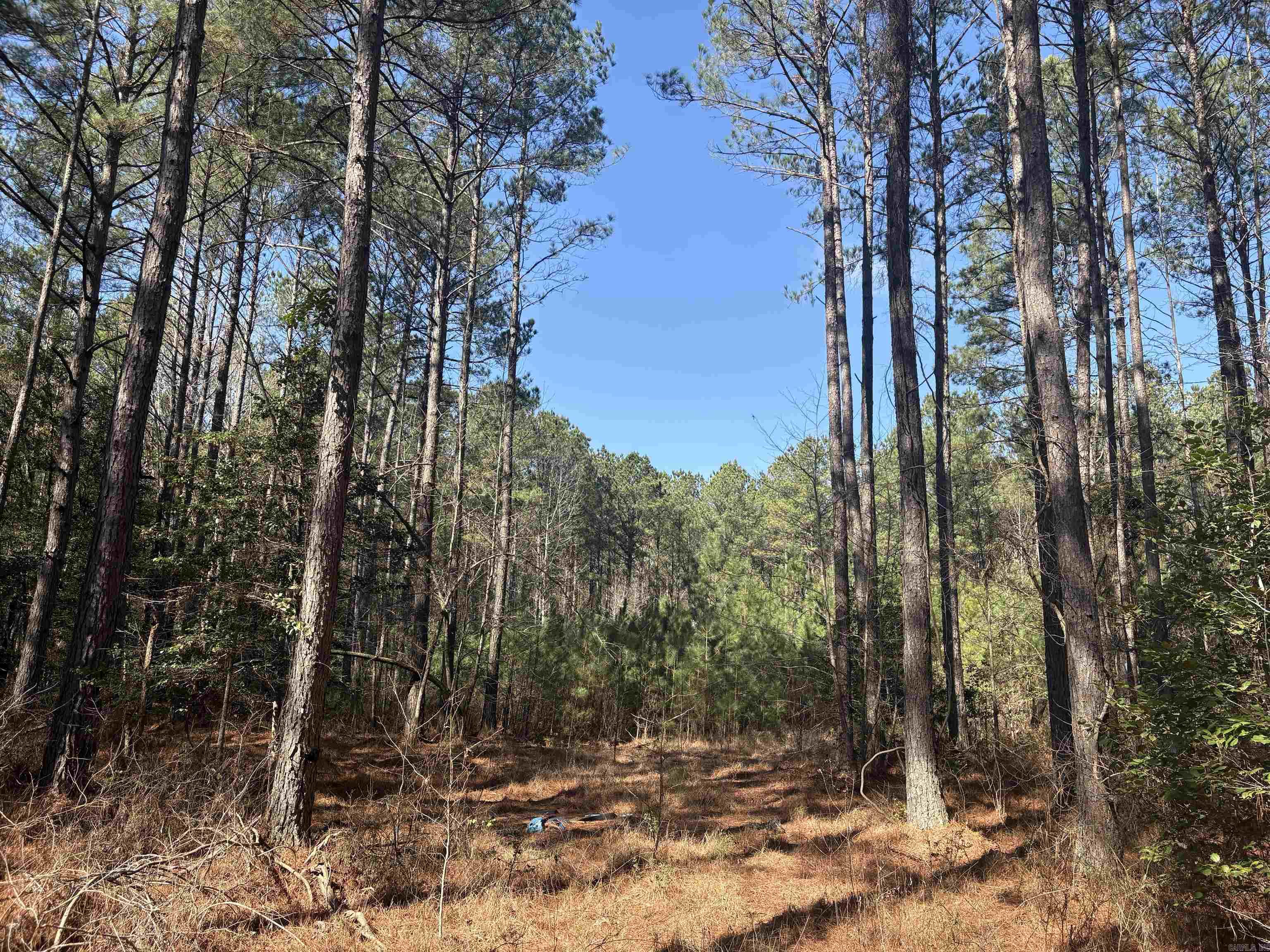 0 Hwy 46 N Property Photo 1