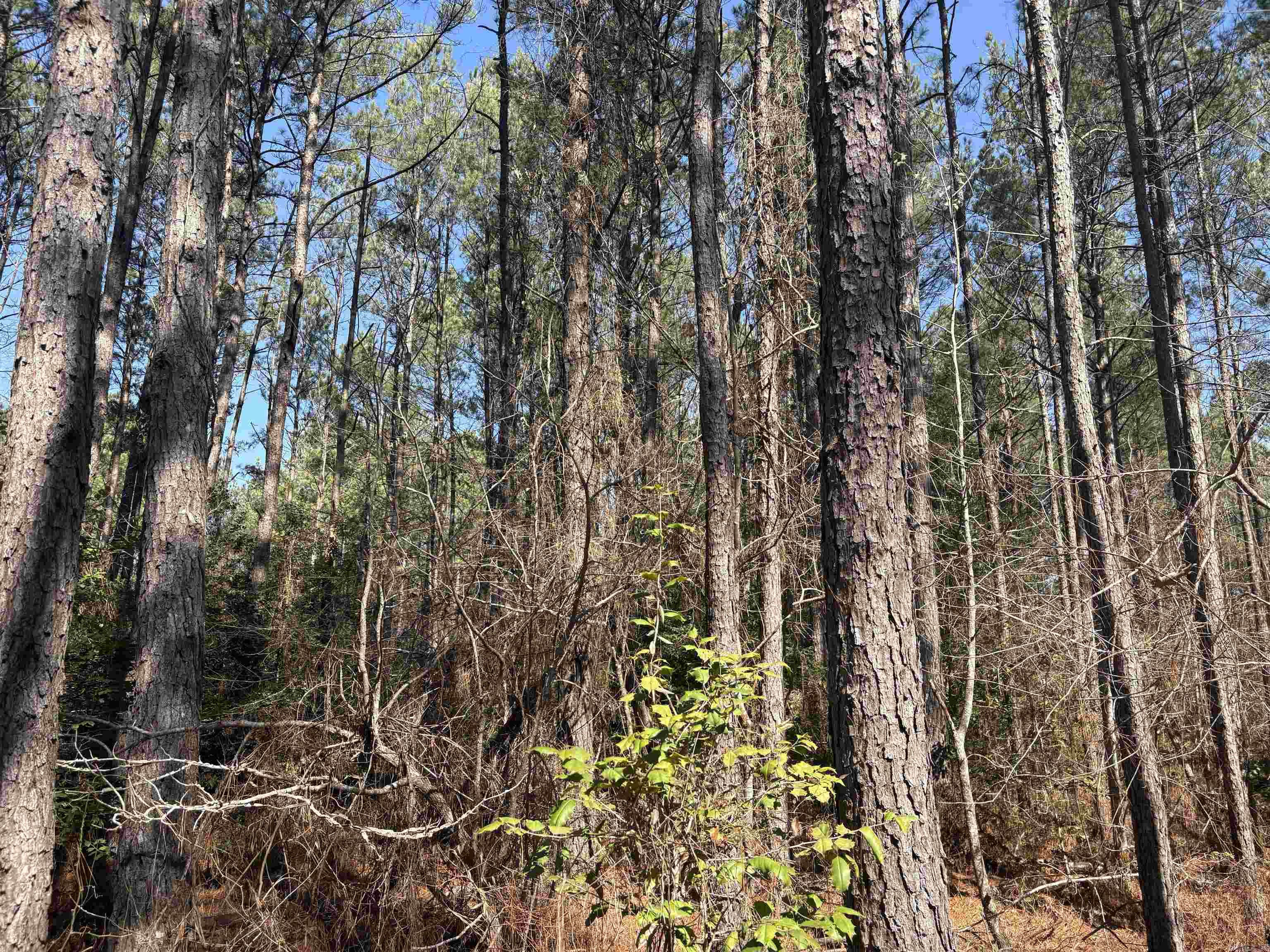 0 Hwy 46 N Property Photo 2
