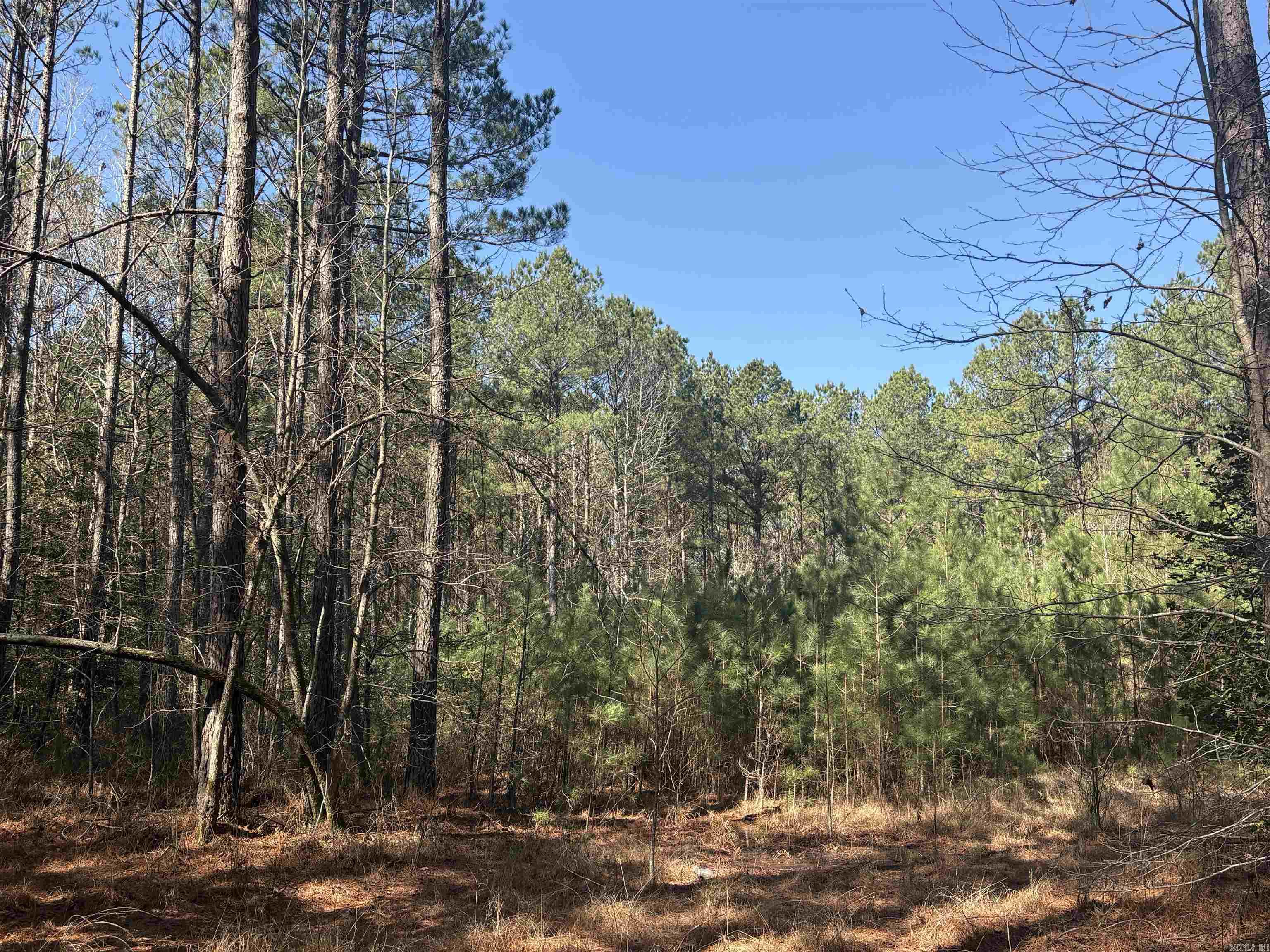 0 Hwy 46 N Property Photo 4
