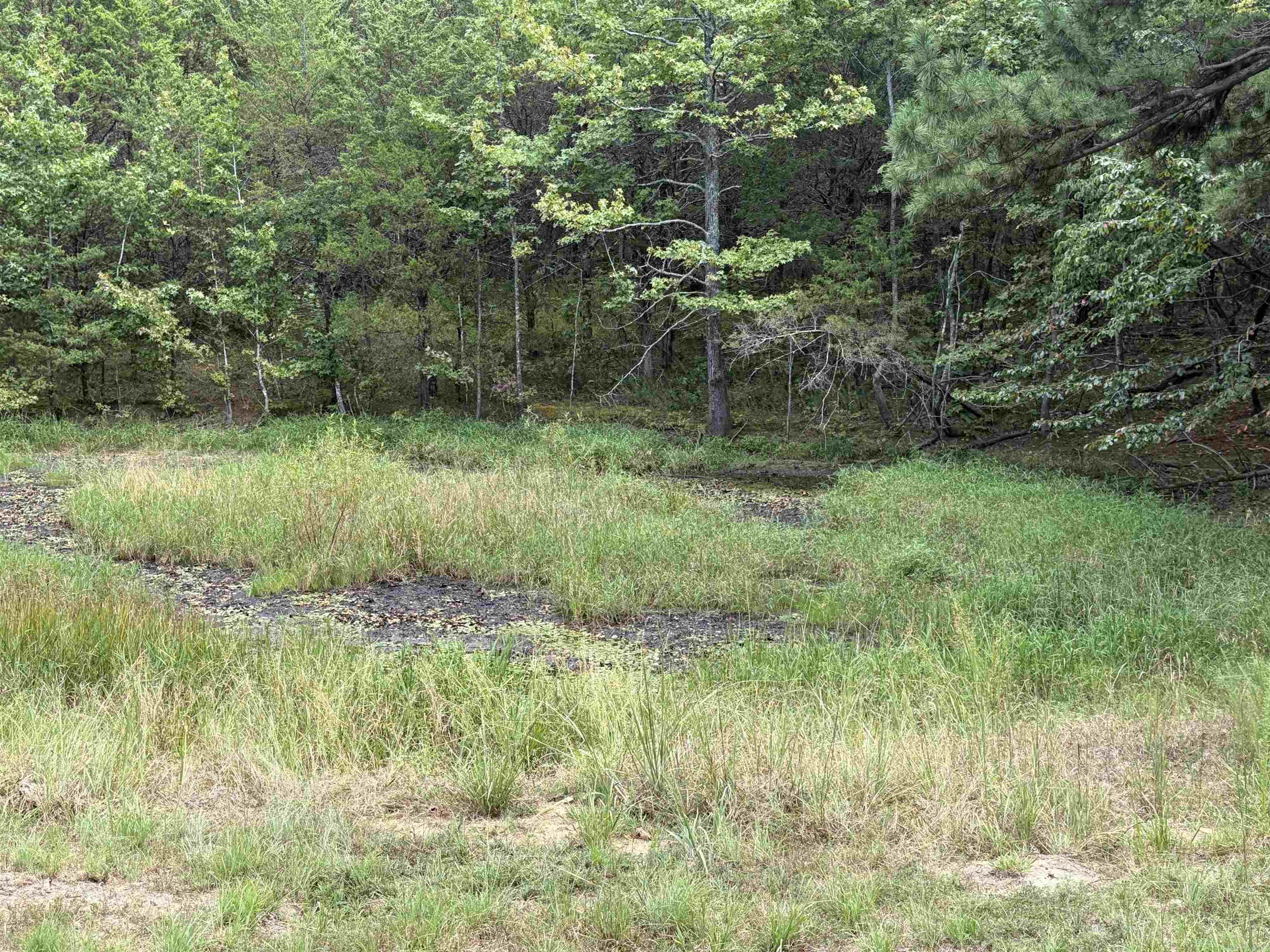 5618 Byron Road Property Photo 7