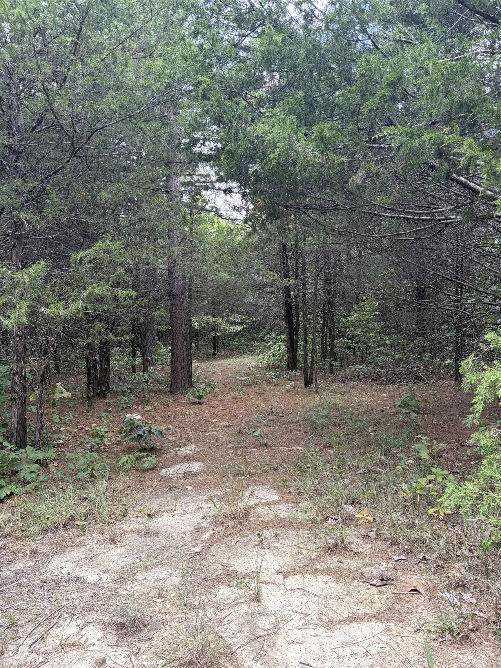 5618 Byron Road Property Photo 9