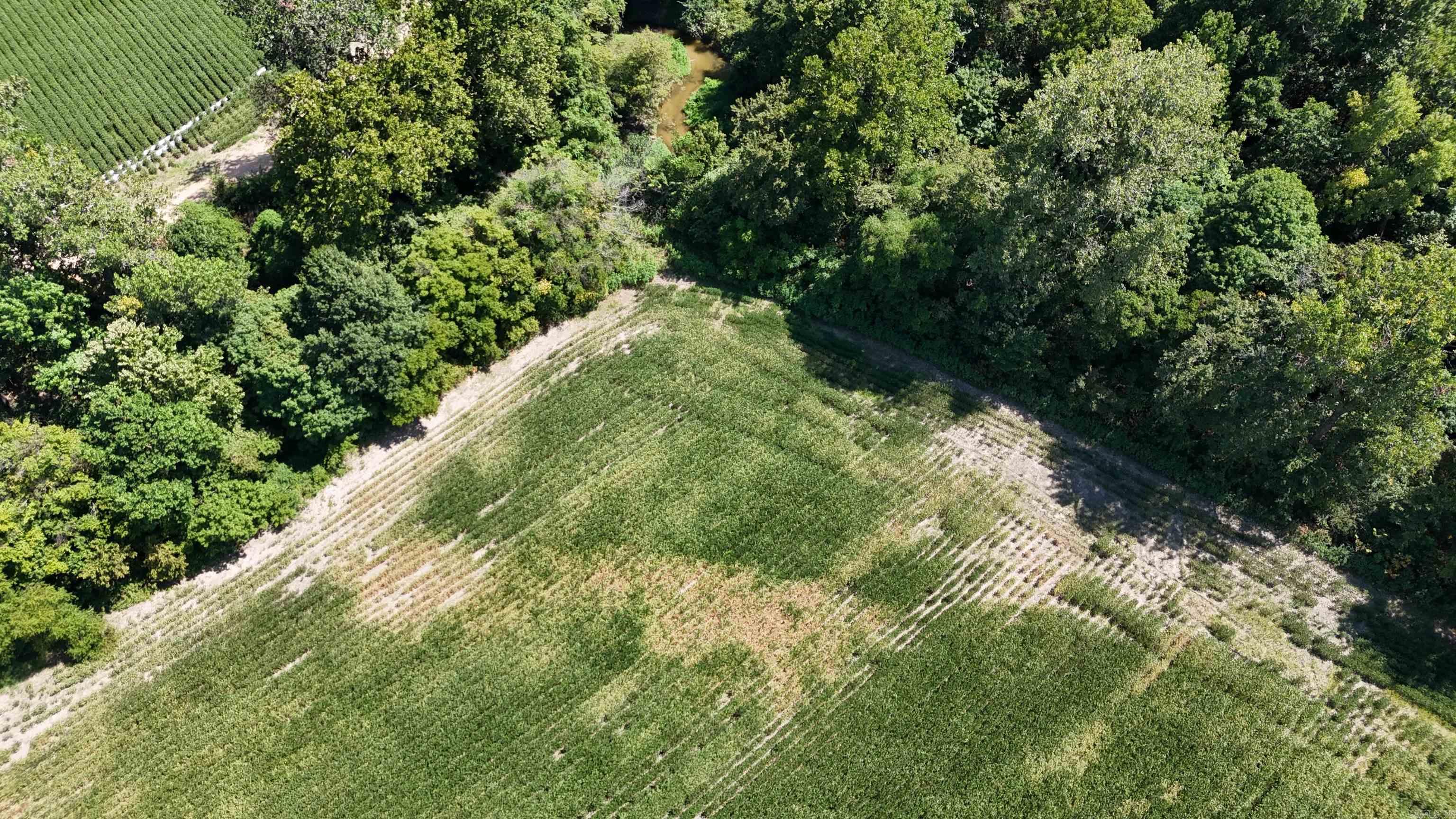 23666 Mickey Rd Property Photo 17