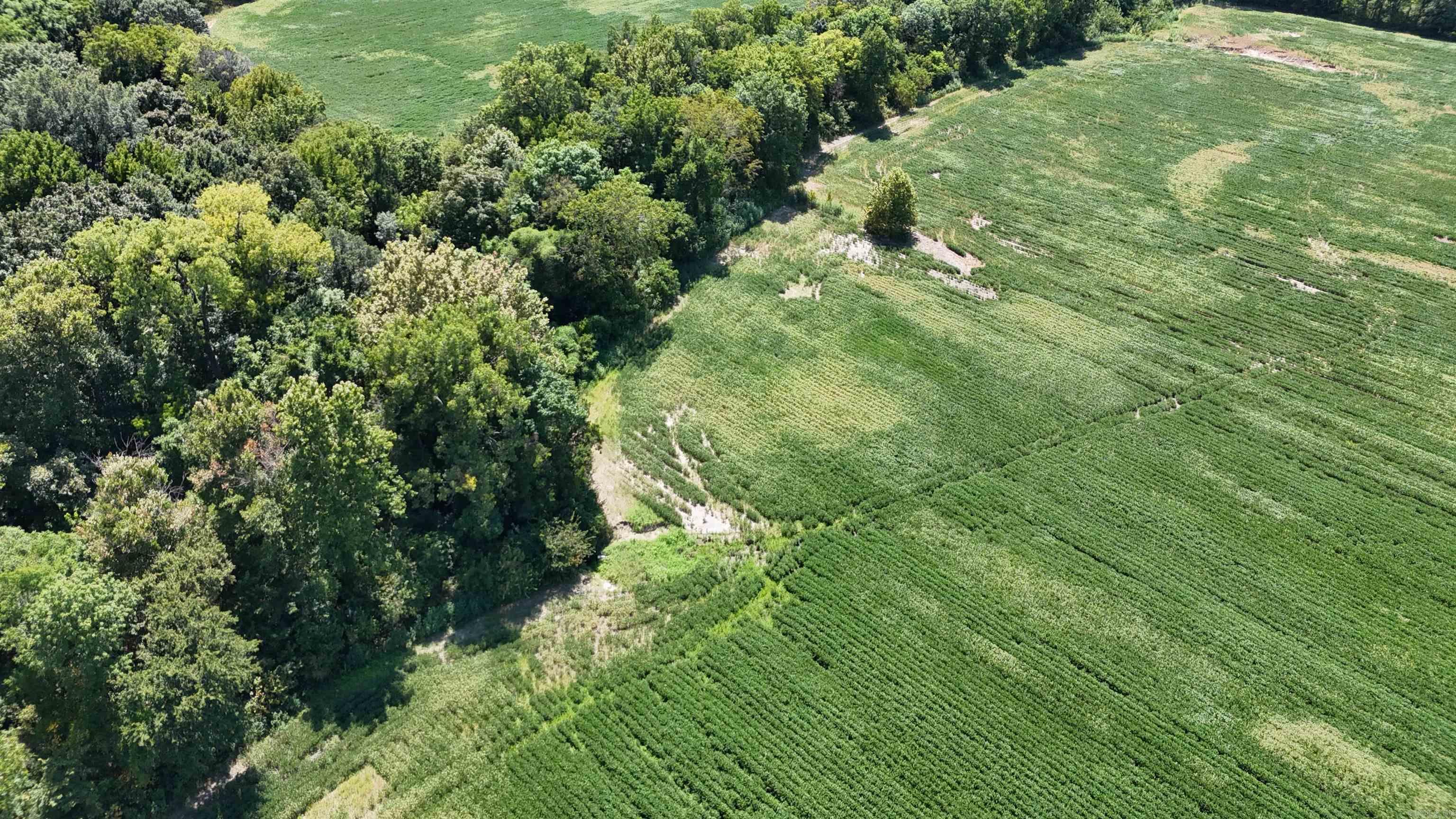 23666 Mickey Rd Property Photo 18