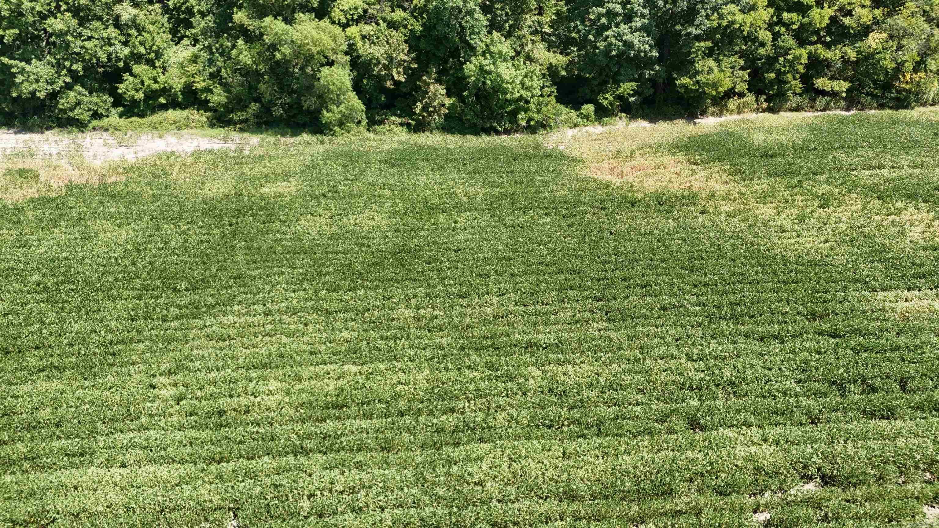 23666 Mickey Rd Property Photo 20