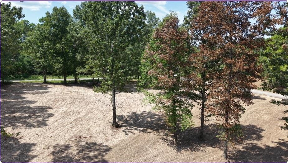 14 Colton Road Property Photo 2
