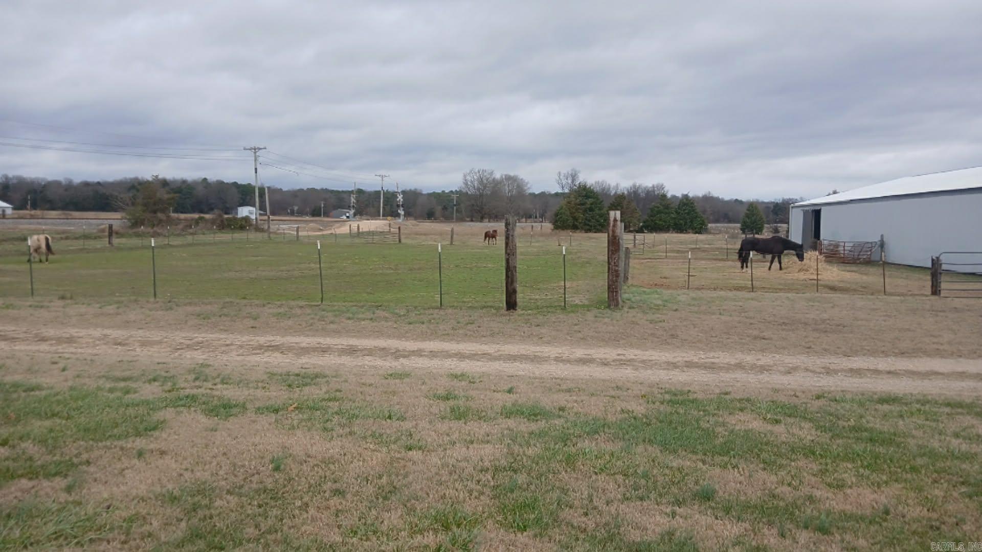 1050 Cr 481 Property Photo 3