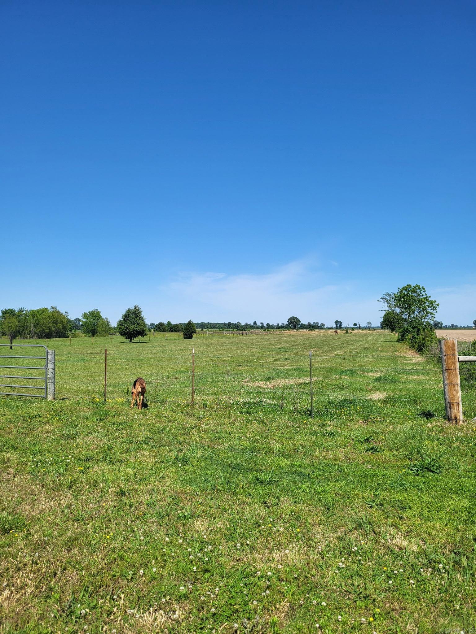 1050 Cr 481 Property Photo 47