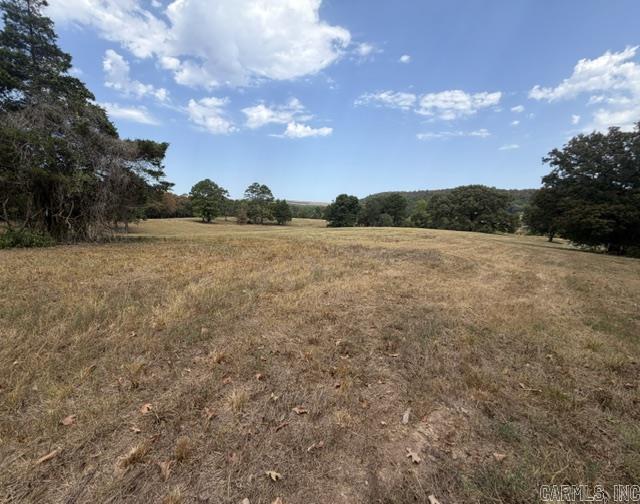 Tract 1 S Sandy Ford Rd. Property Photo 8