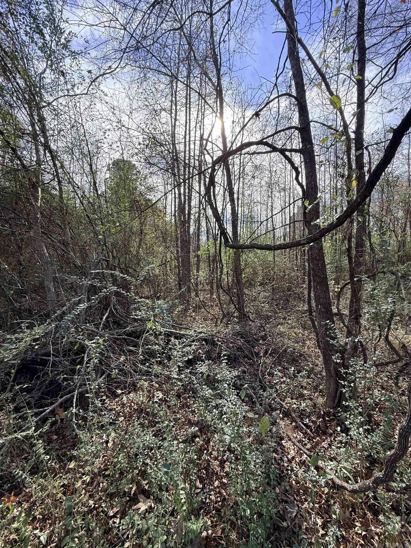 Tbd S Highway 11 Property Photo 6
