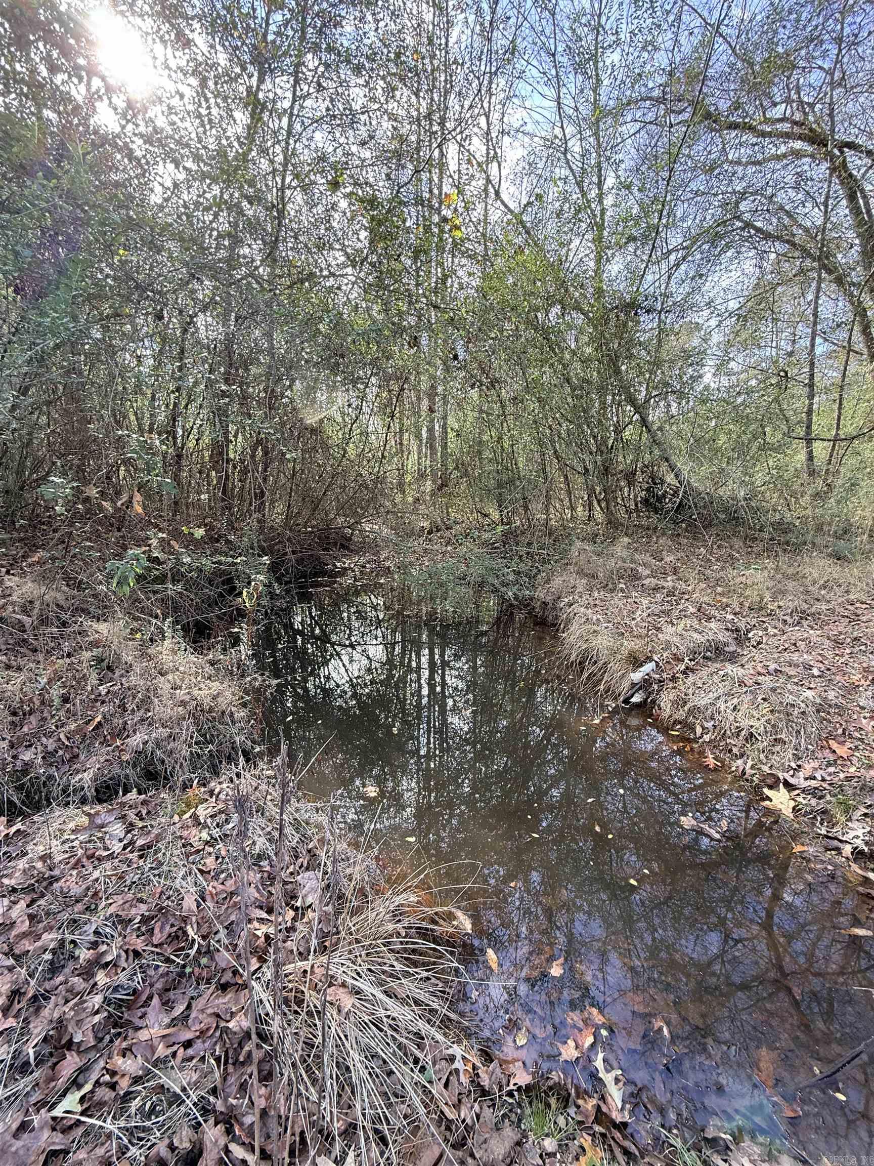 Tbd S Highway 11 Property Photo 8