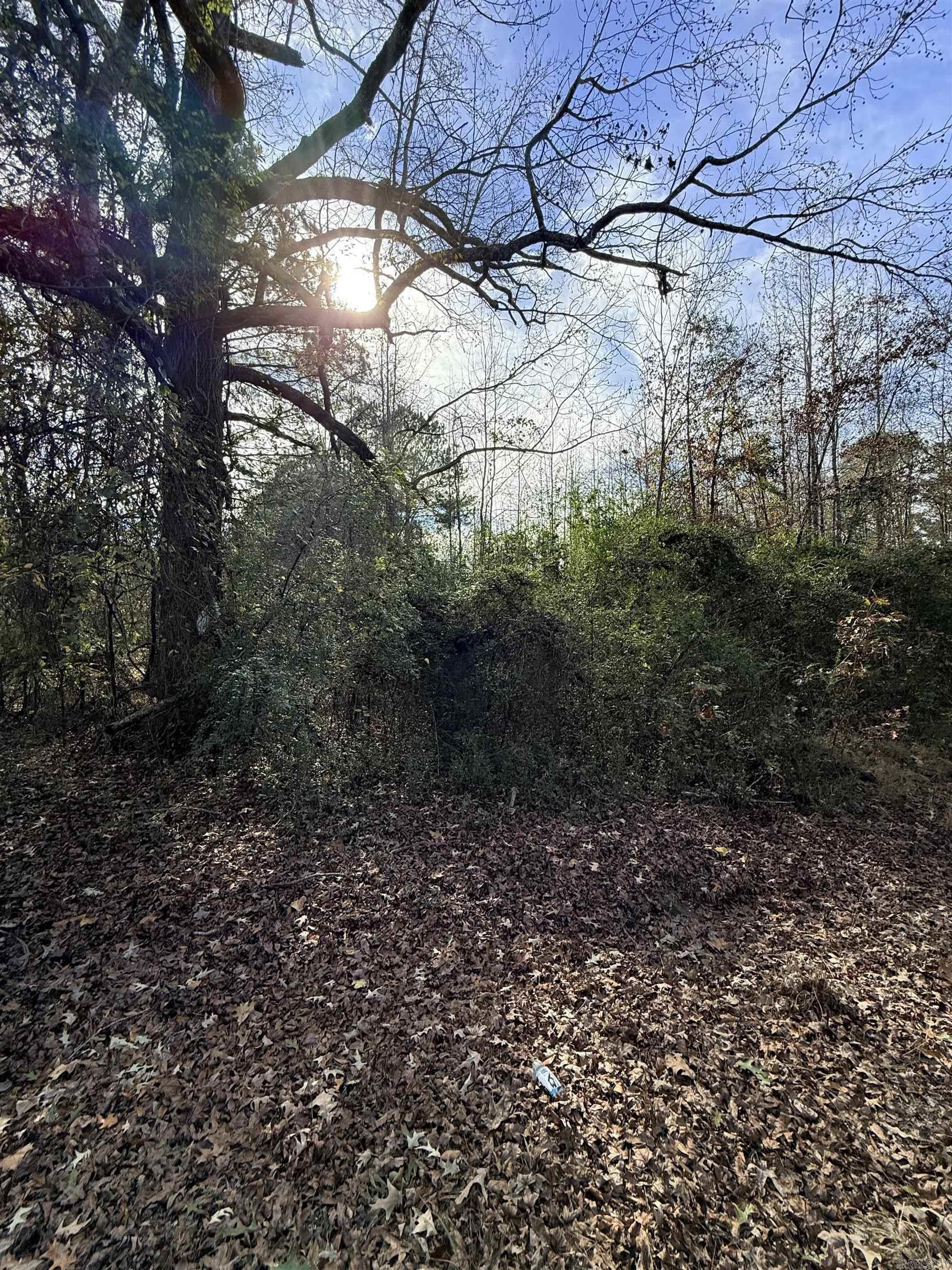 Tbd S Highway 11 Property Photo 9