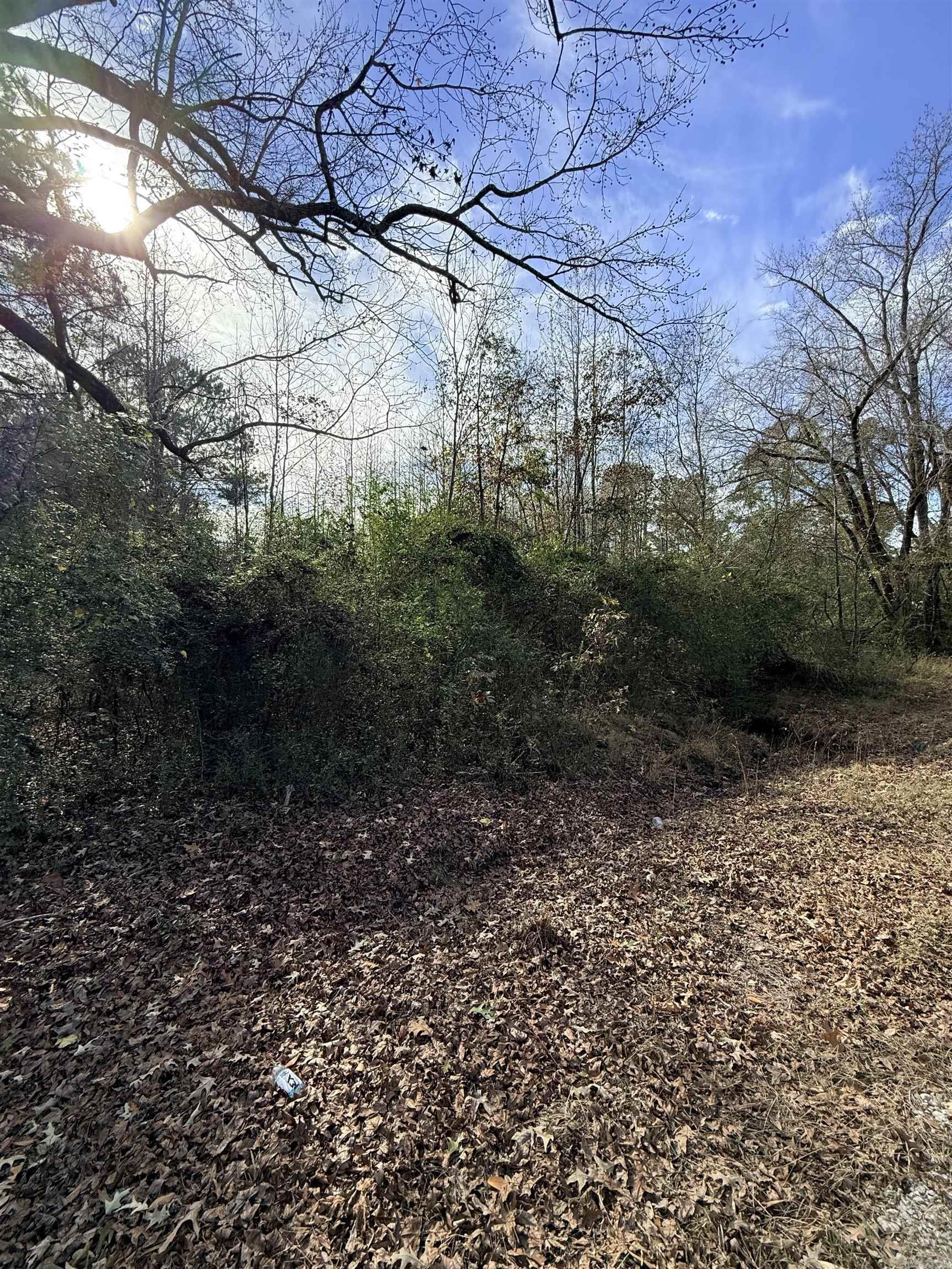 Tbd S Highway 11 Property Photo 10