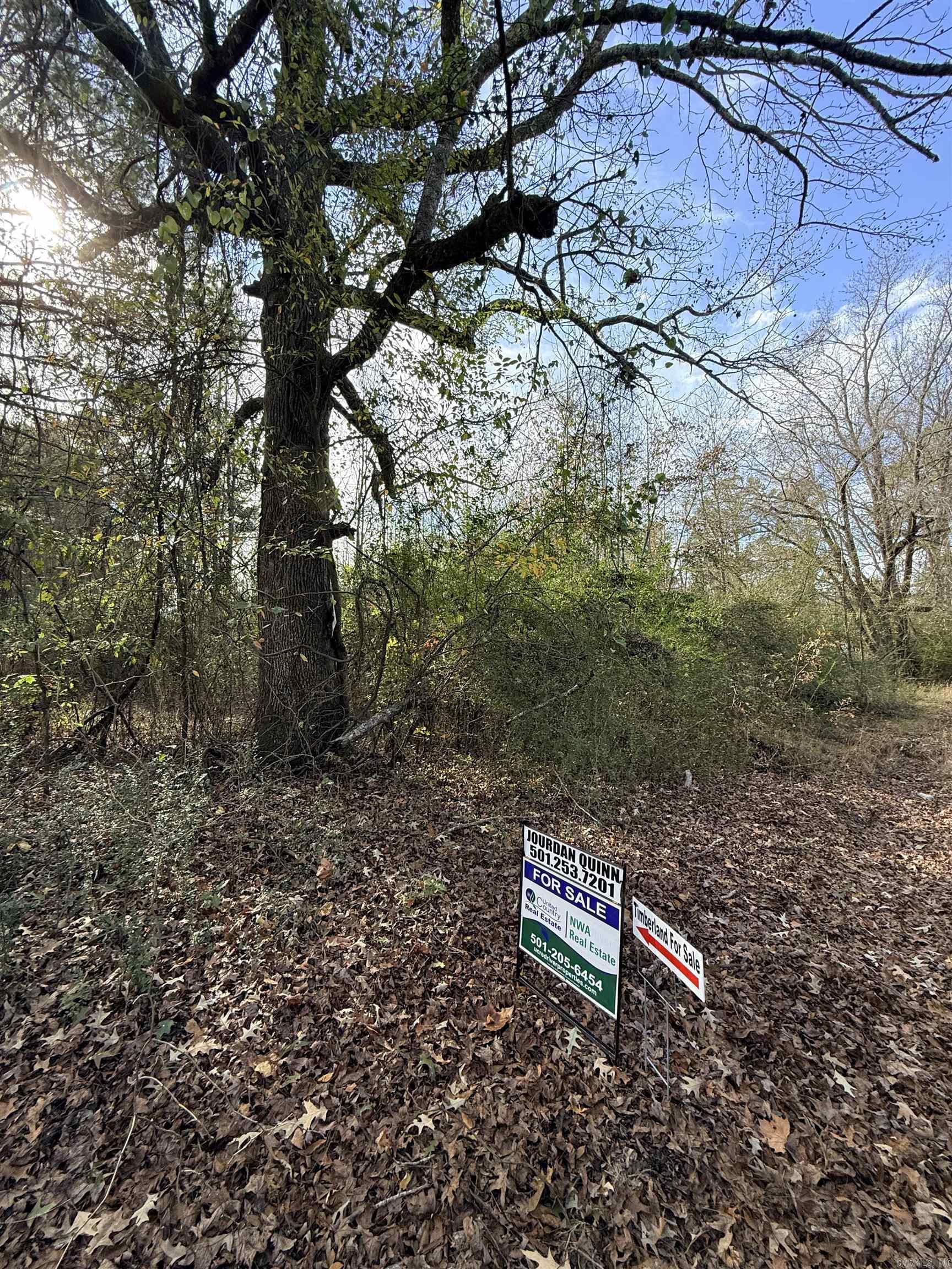 Tbd S Highway 11 Property Photo 11