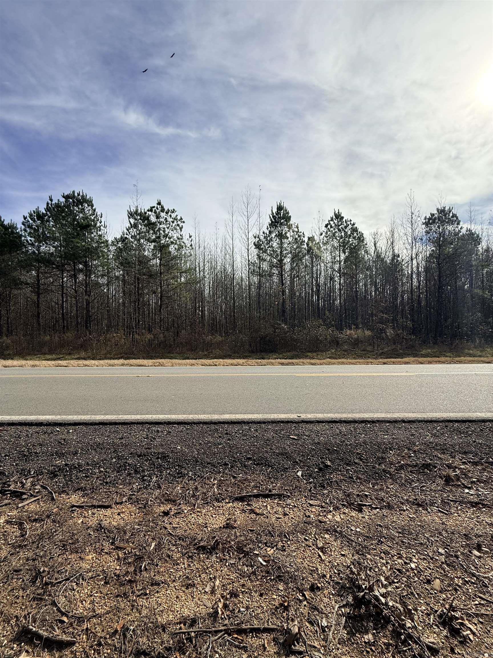 Tbd S Highway 11 Property Photo 13