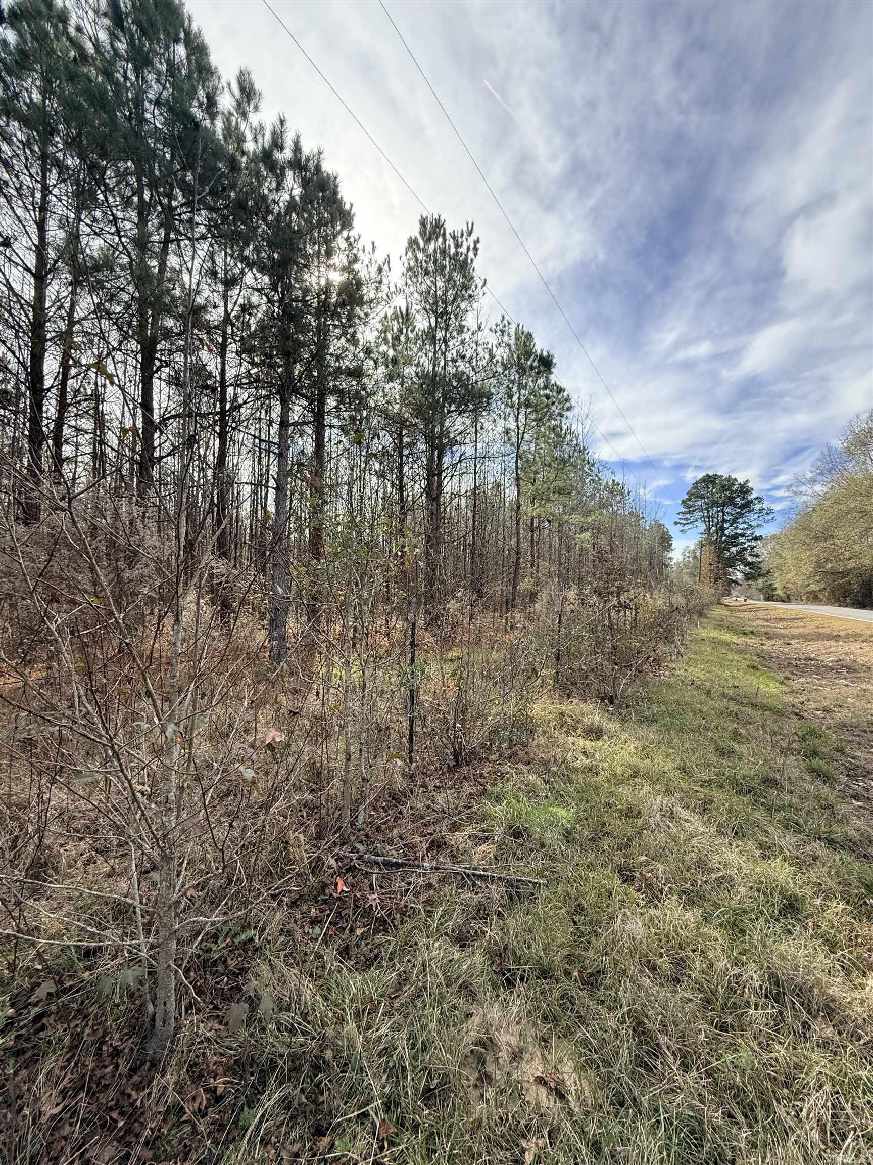 Tbd S Highway 11 Property Photo 15