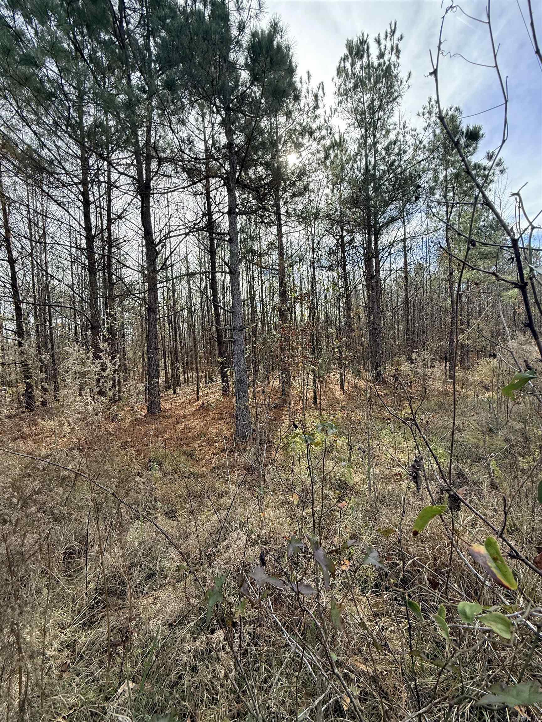 Tbd S Highway 11 Property Photo 16