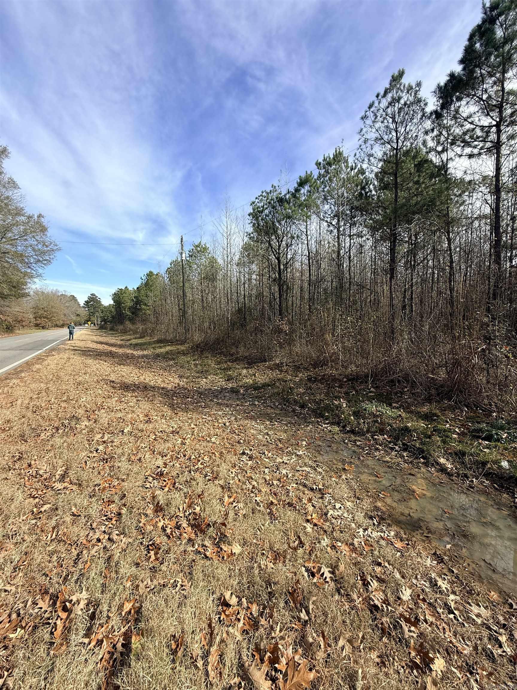 Tbd S Highway 11 Property Photo 17
