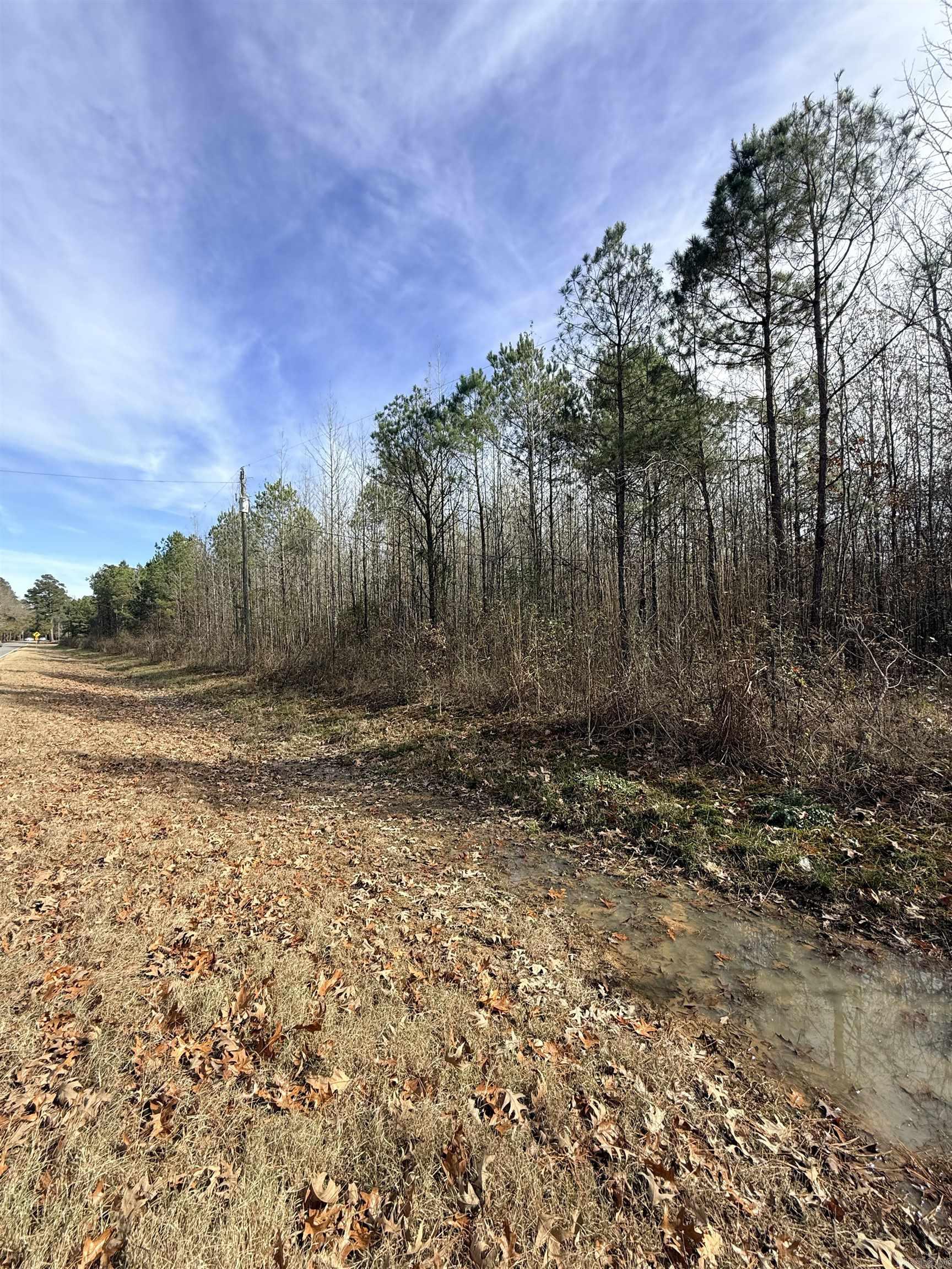 Tbd S Highway 11 Property Photo 18