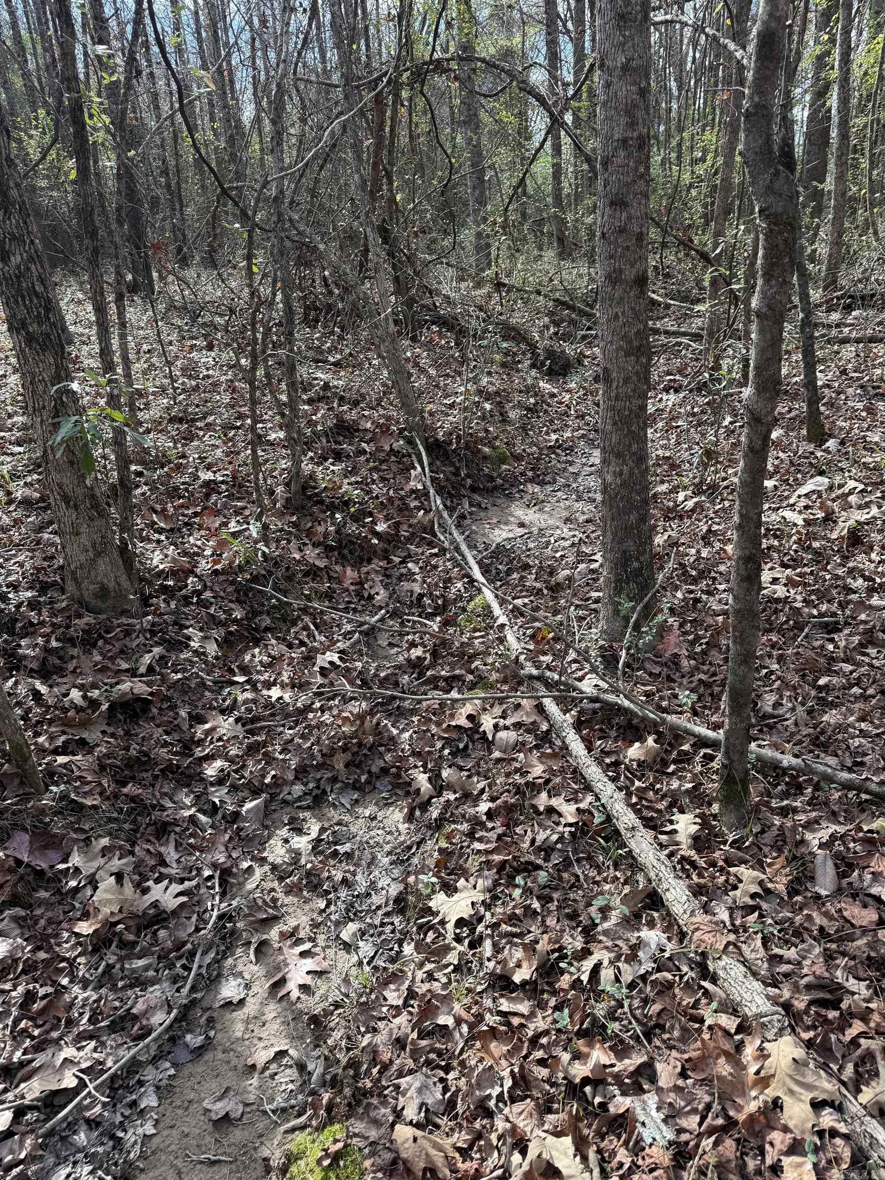 Tbd S Highway 11 Property Photo 19