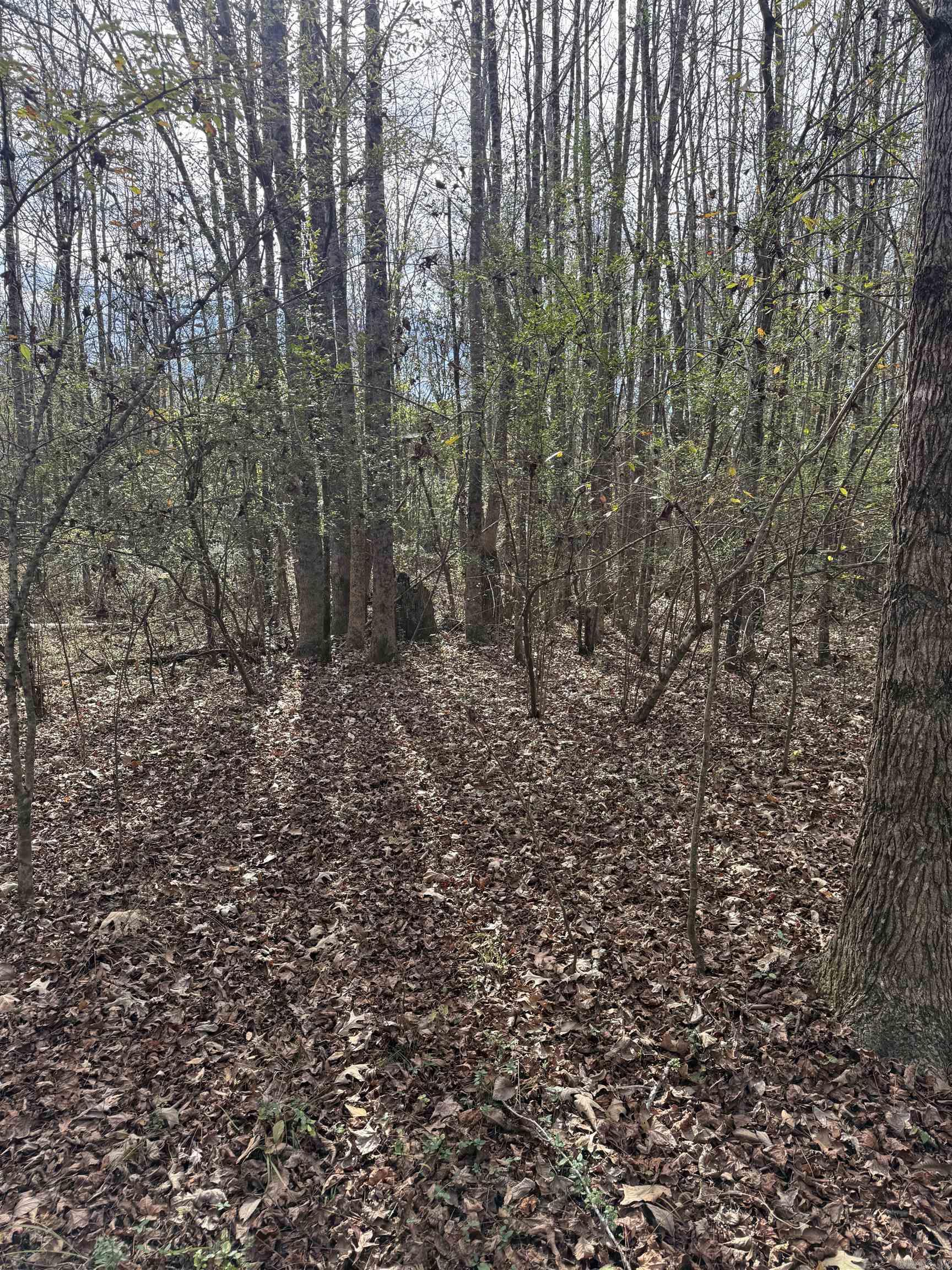 Tbd S Highway 11 Property Photo 22