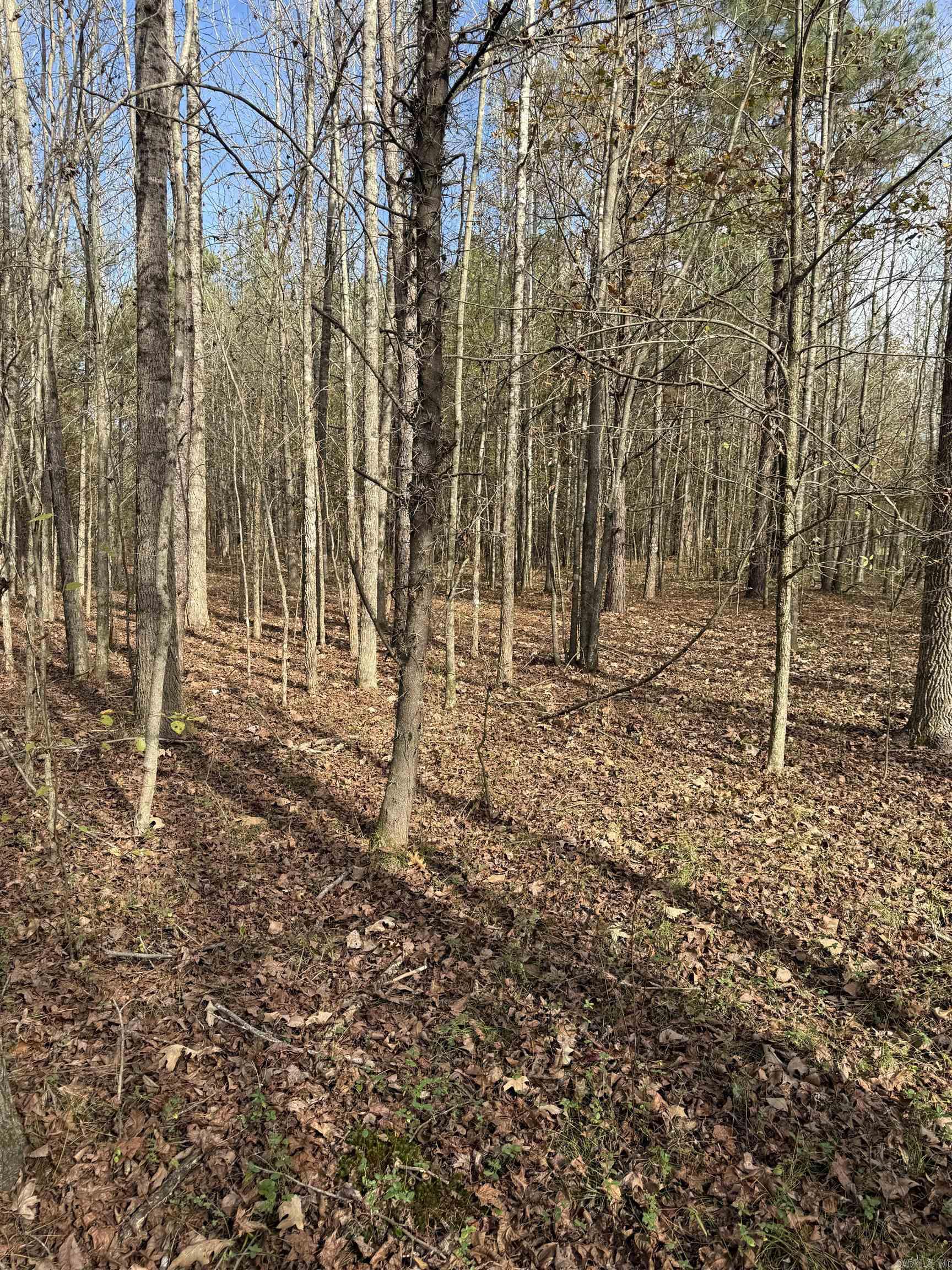 Tbd S Highway 11 Property Photo 23