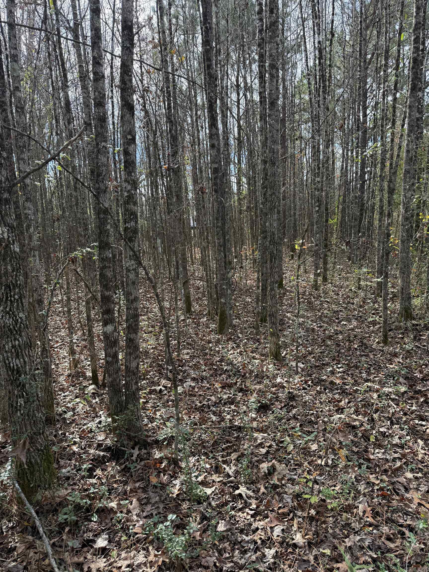 Tbd S Highway 11 Property Photo 25
