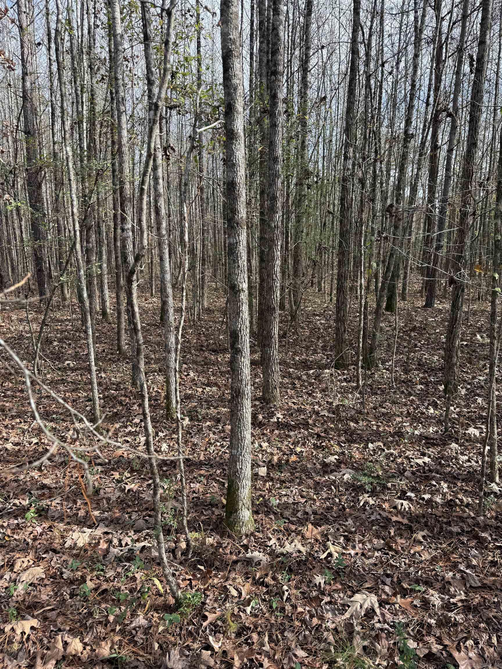 Tbd S Highway 11 Property Photo 26