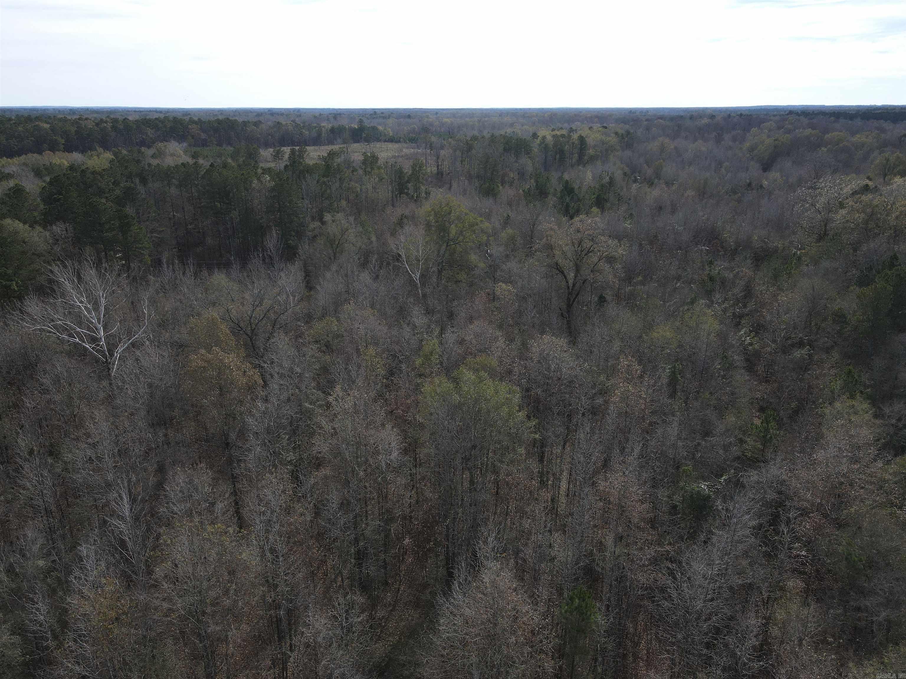 Tbd S Highway 11 Property Photo 28