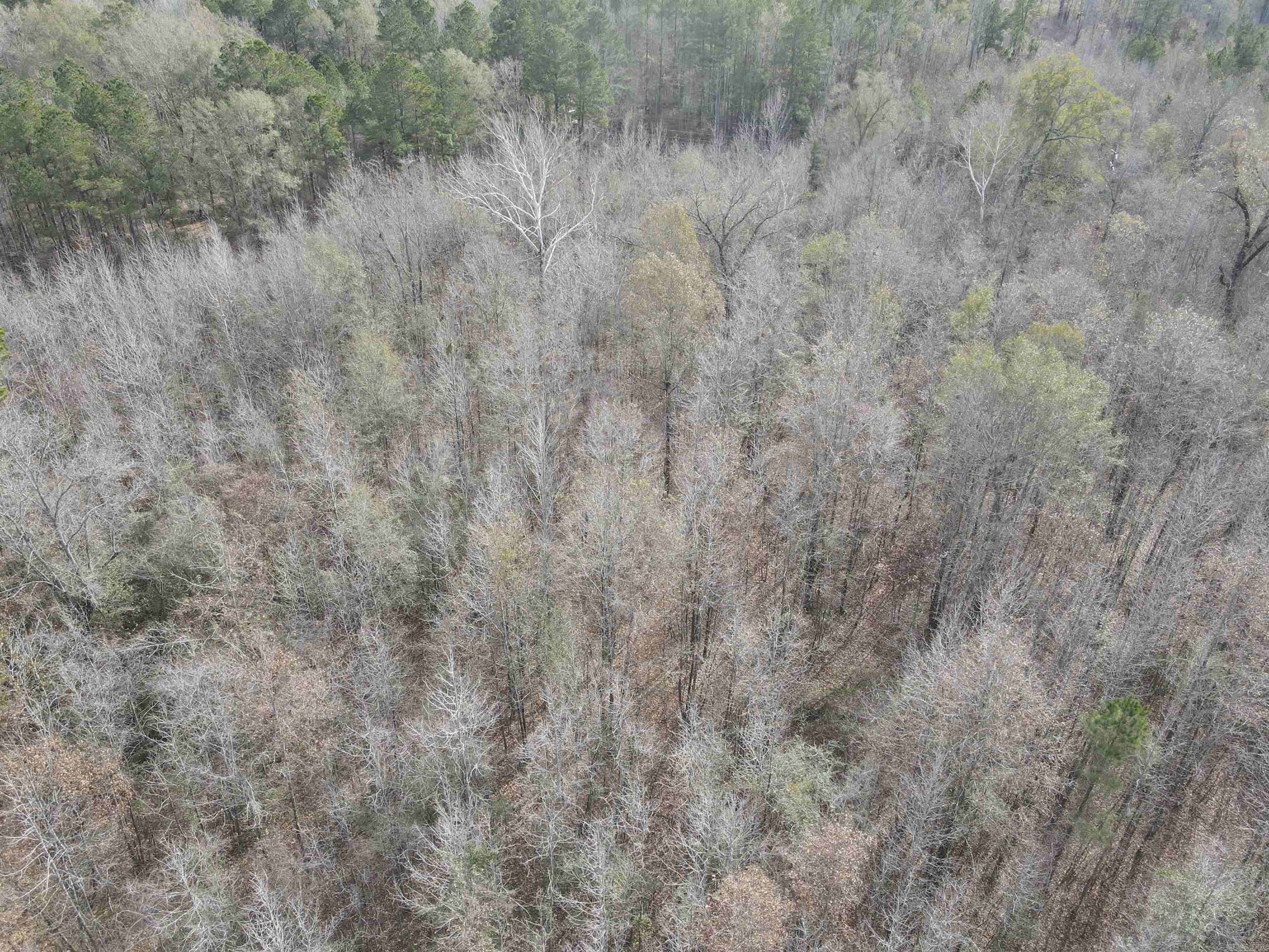 Tbd S Highway 11 Property Photo 29