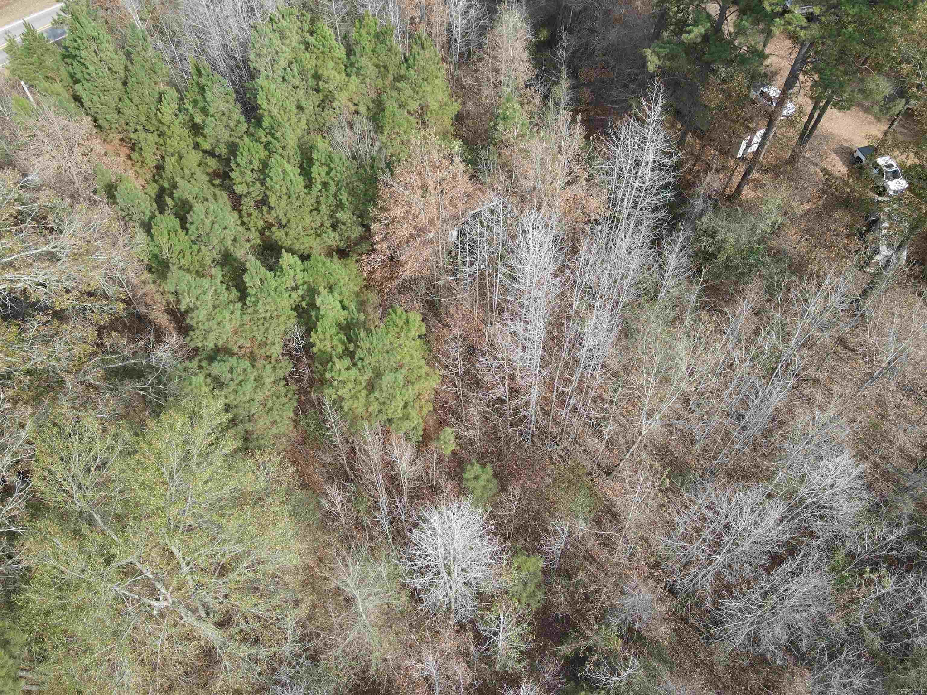 Tbd S Highway 11 Property Photo 30