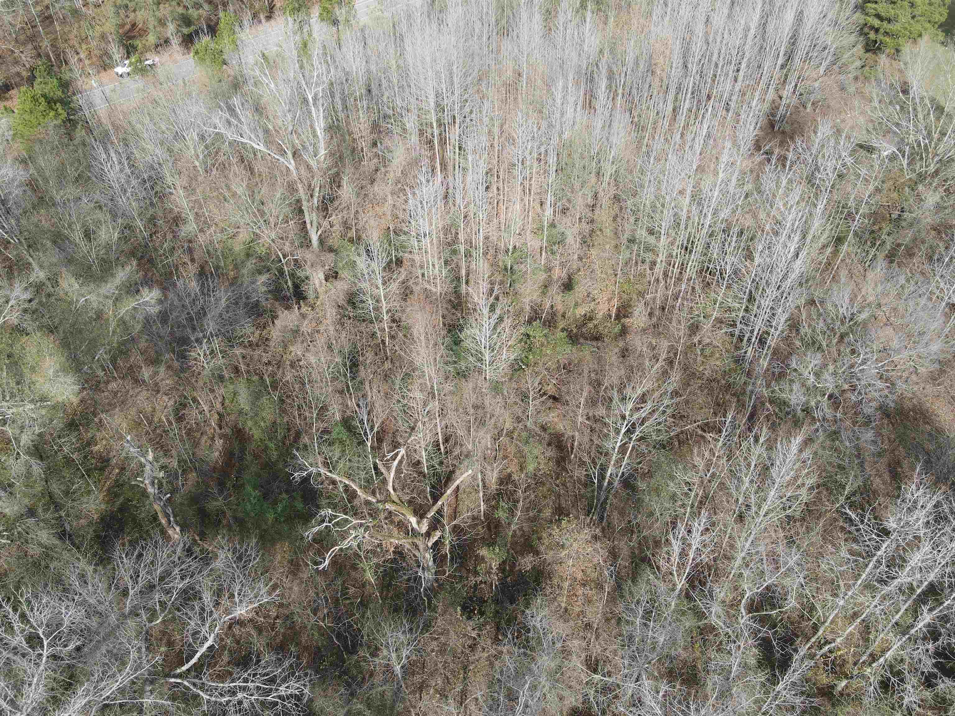 Tbd S Highway 11 Property Photo 32