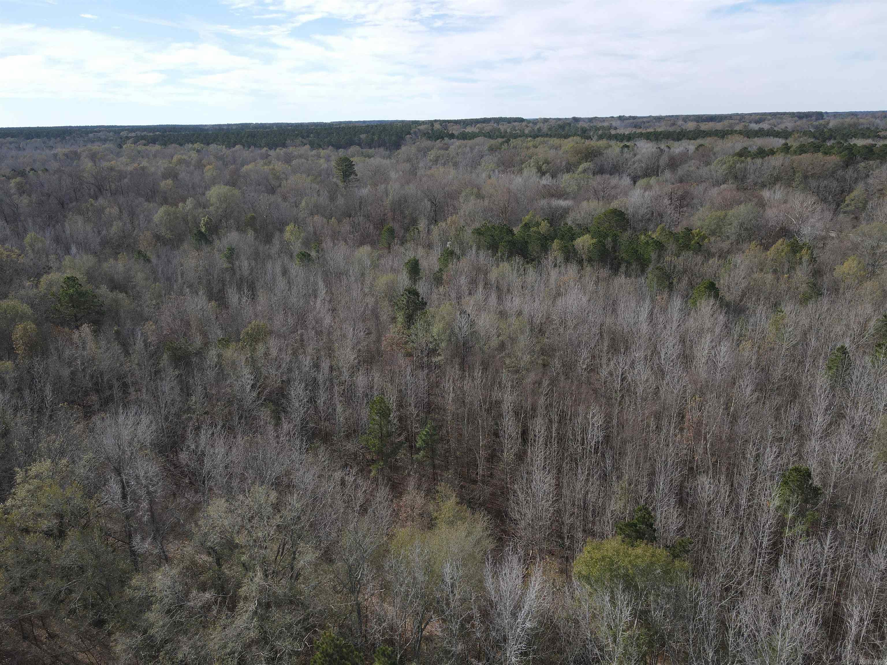 Tbd S Highway 11 Property Photo 33