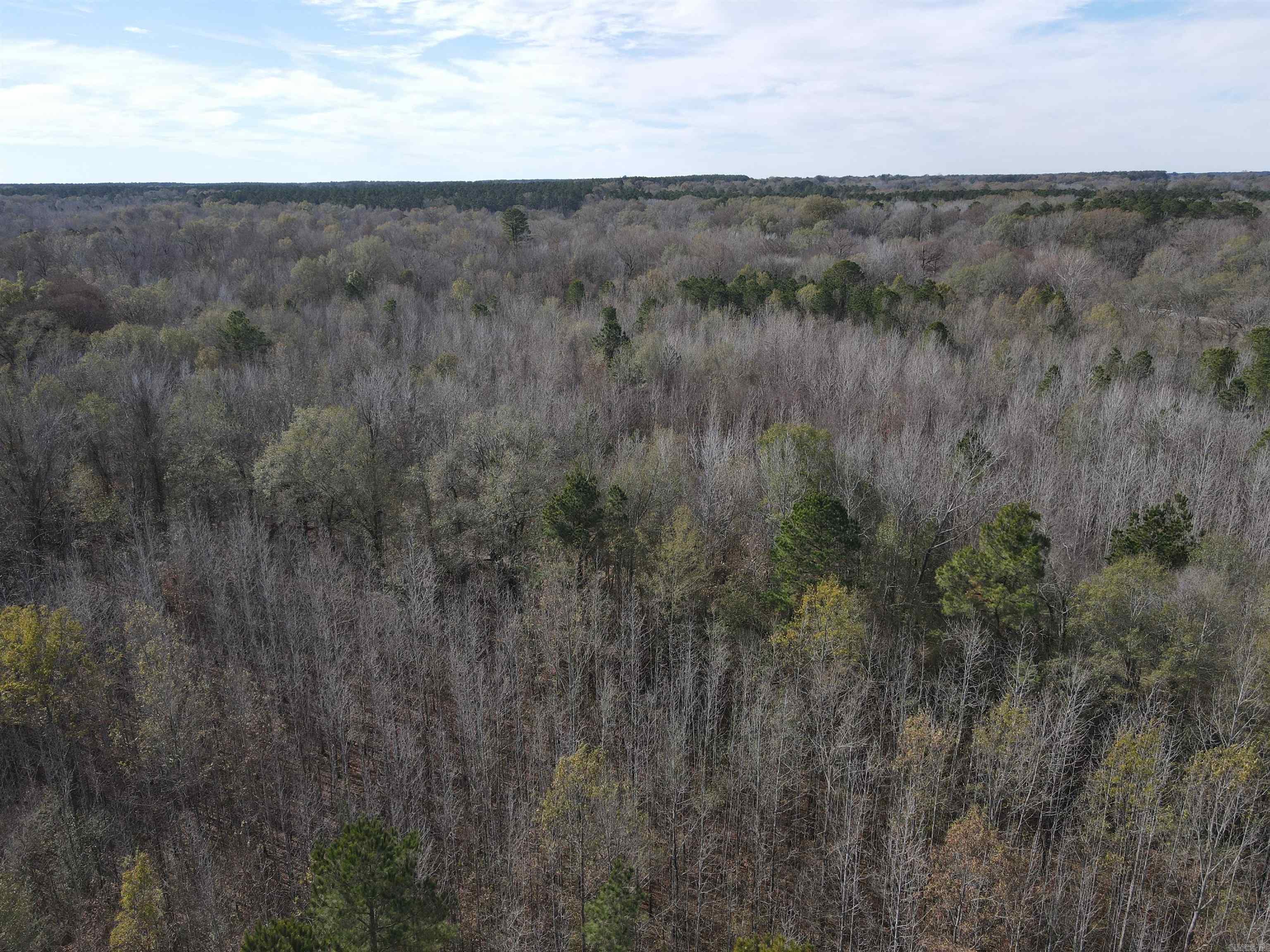 Tbd S Highway 11 Property Photo 34