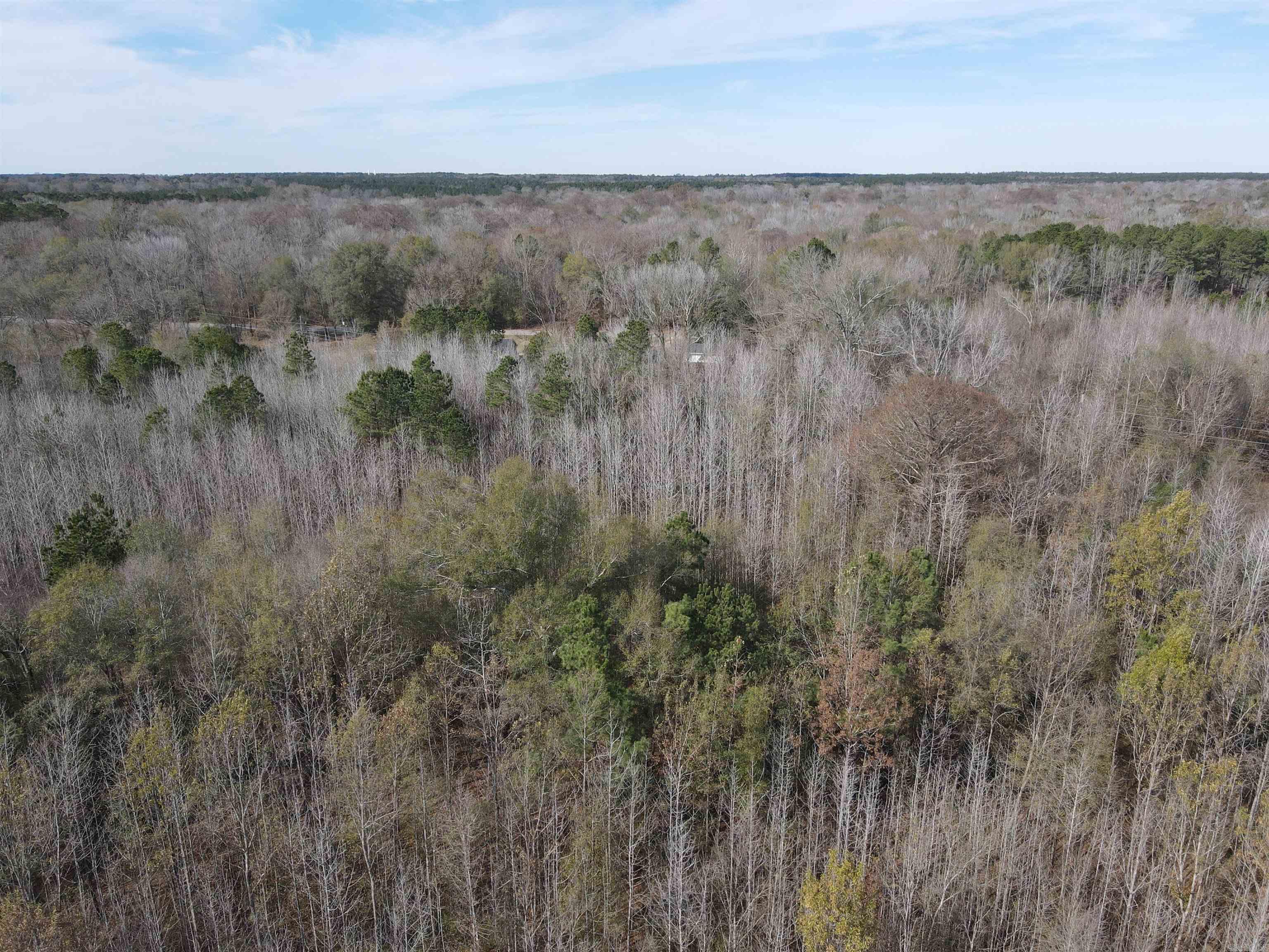 Tbd S Highway 11 Property Photo 35