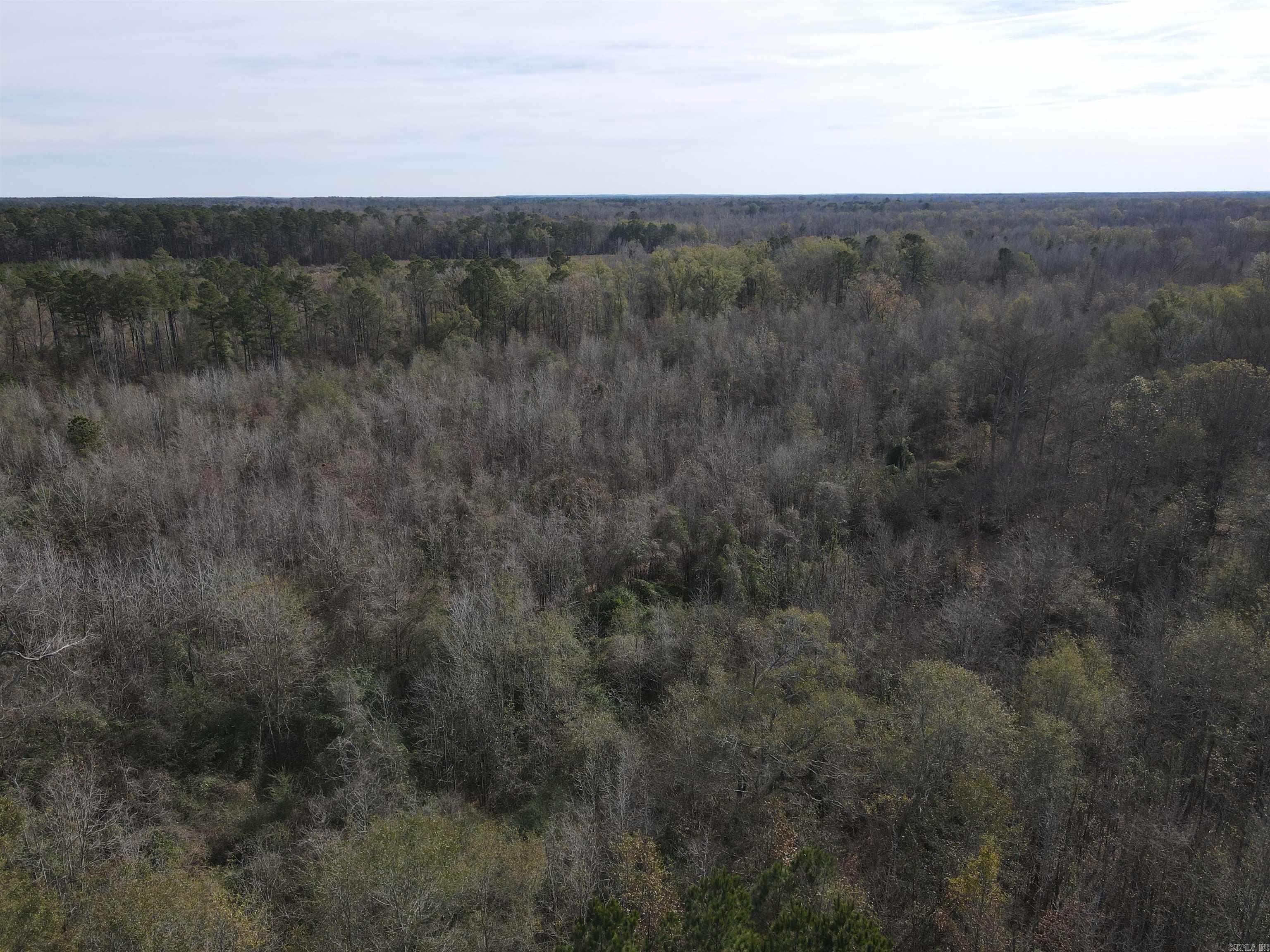 Tbd S Highway 11 Property Photo 37