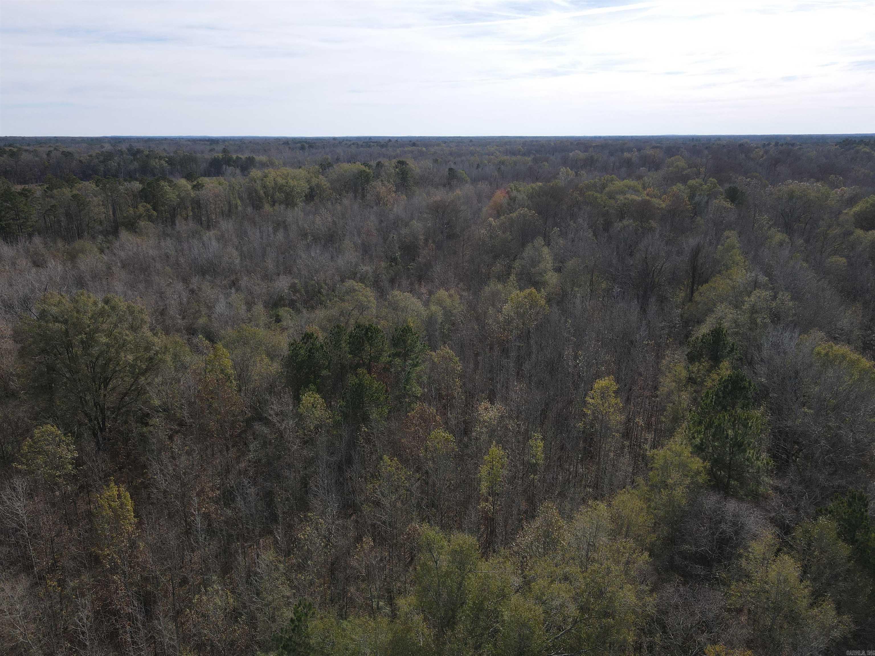 Tbd S Highway 11 Property Photo 38