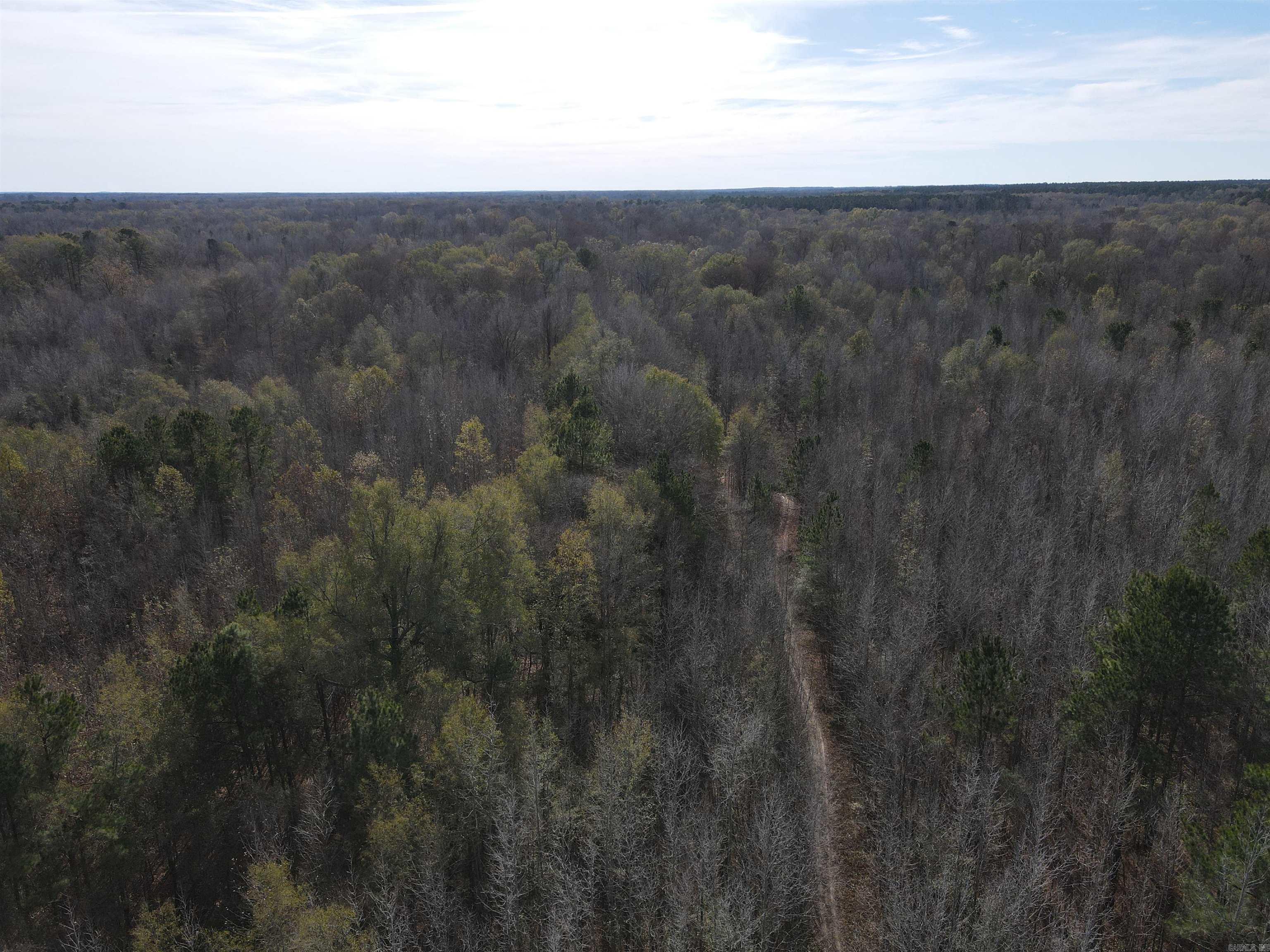 Tbd S Highway 11 Property Photo 39