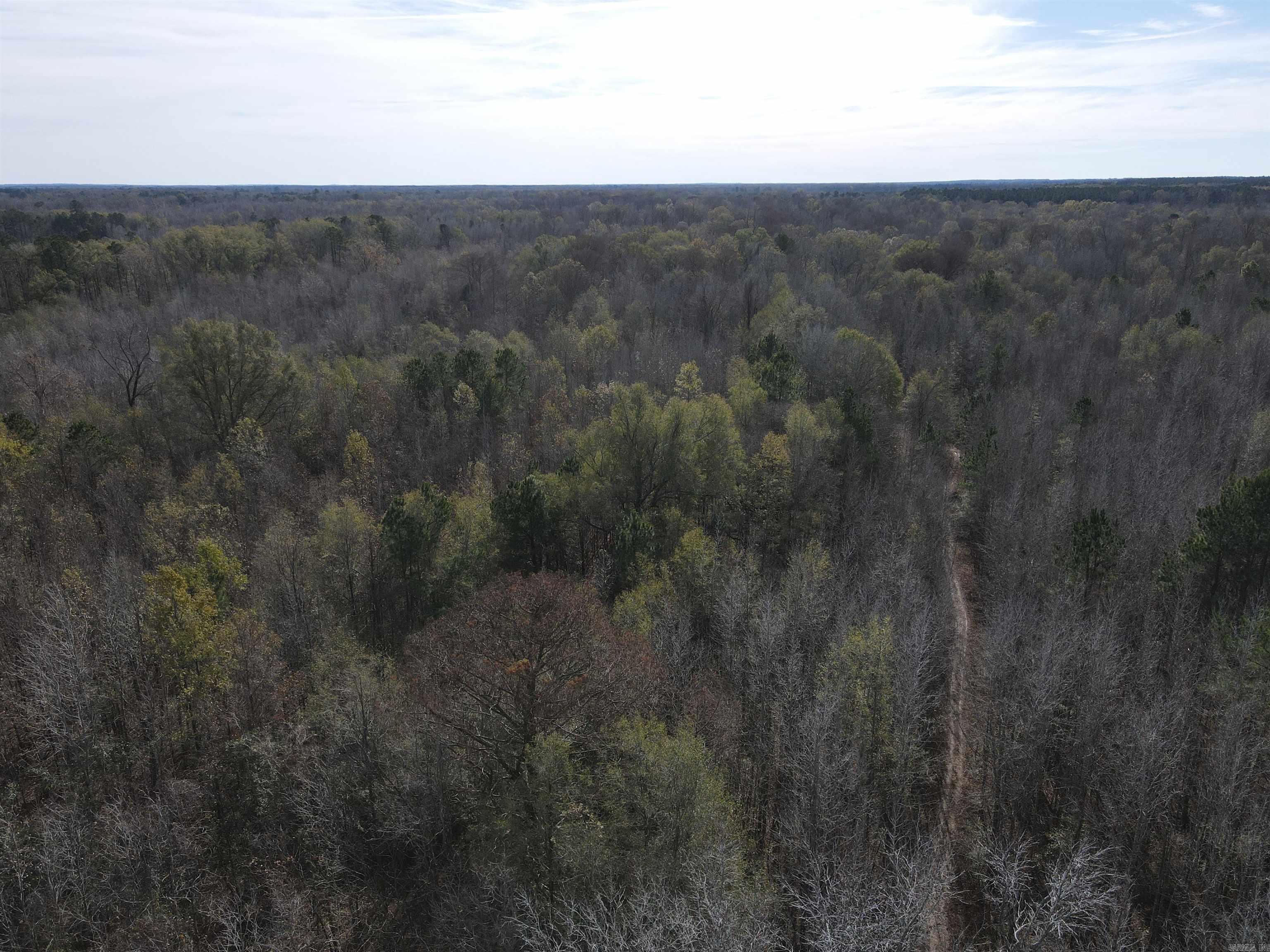 Tbd S Highway 11 Property Photo 40