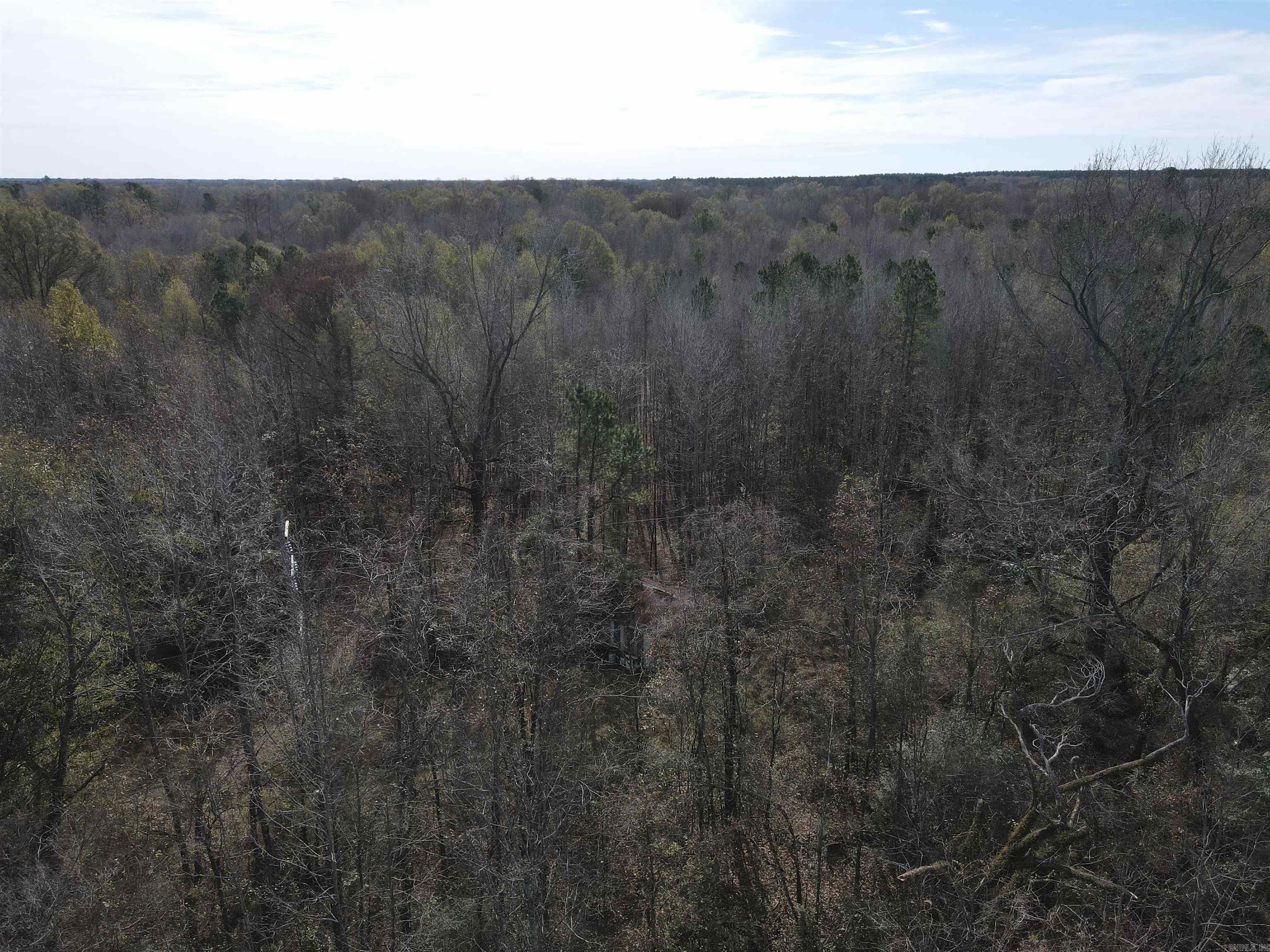 Tbd S Highway 11 Property Photo 42