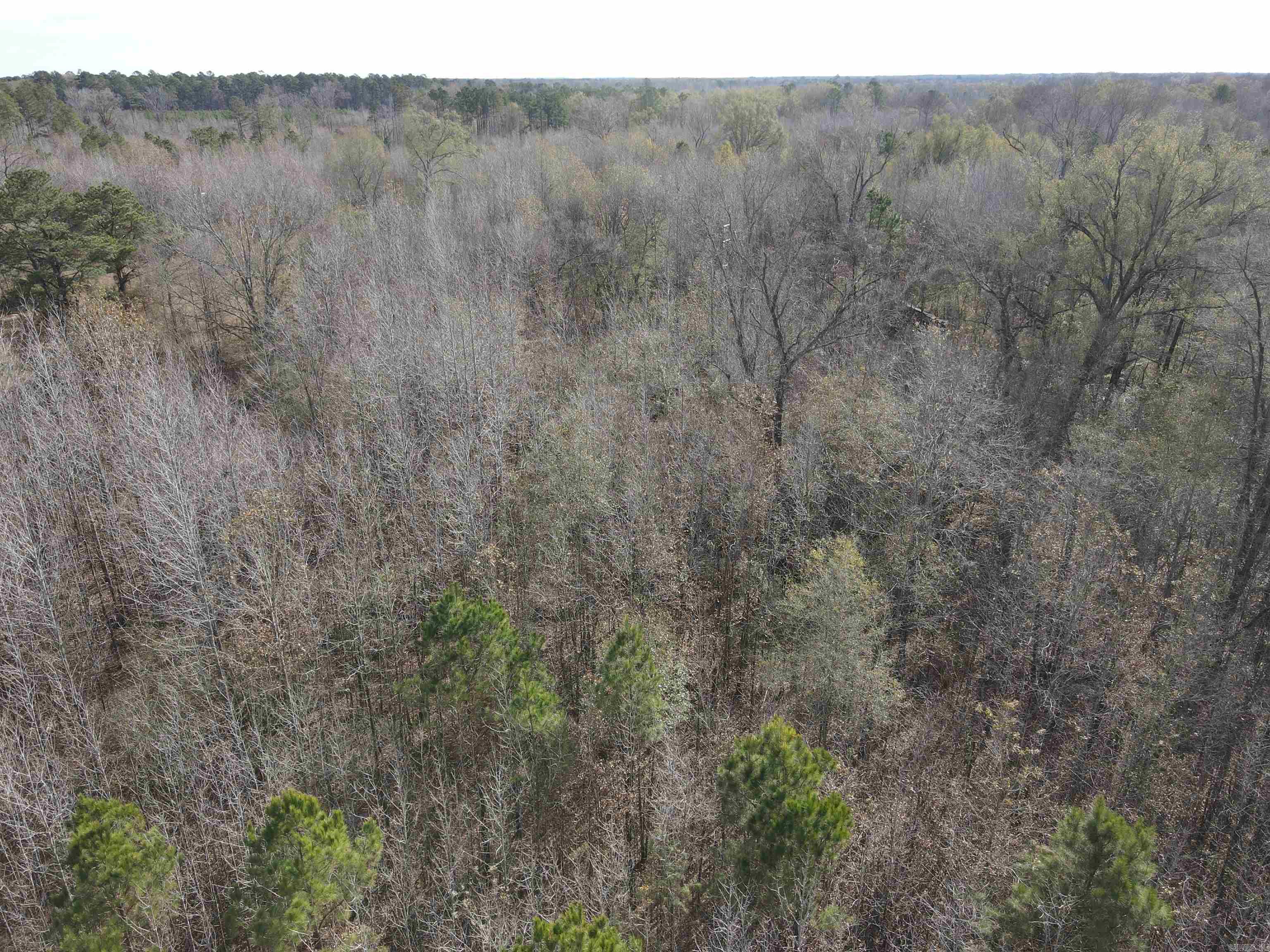 Tbd S Highway 11 Property Photo 43