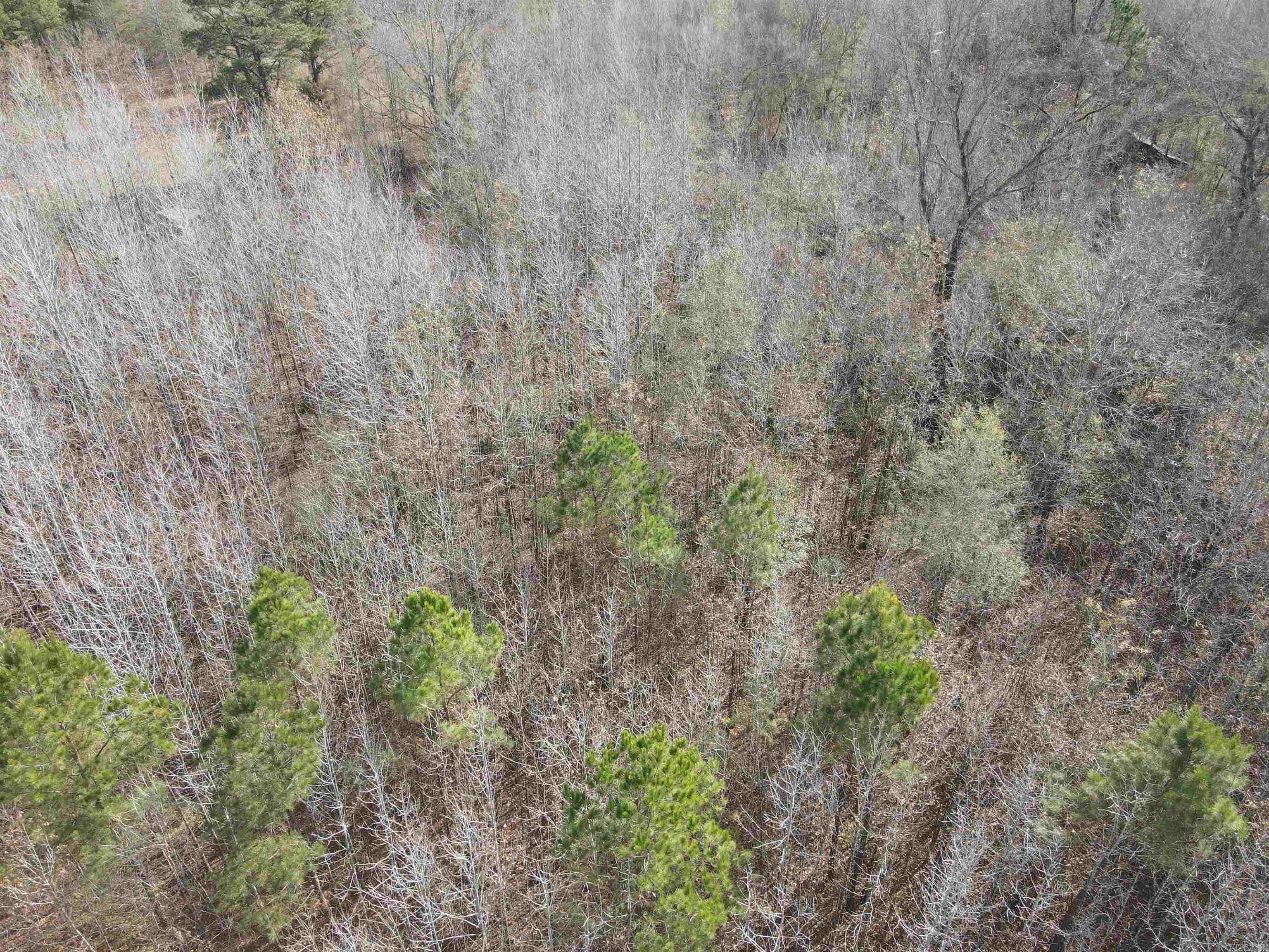 Tbd S Highway 11 Property Photo 46