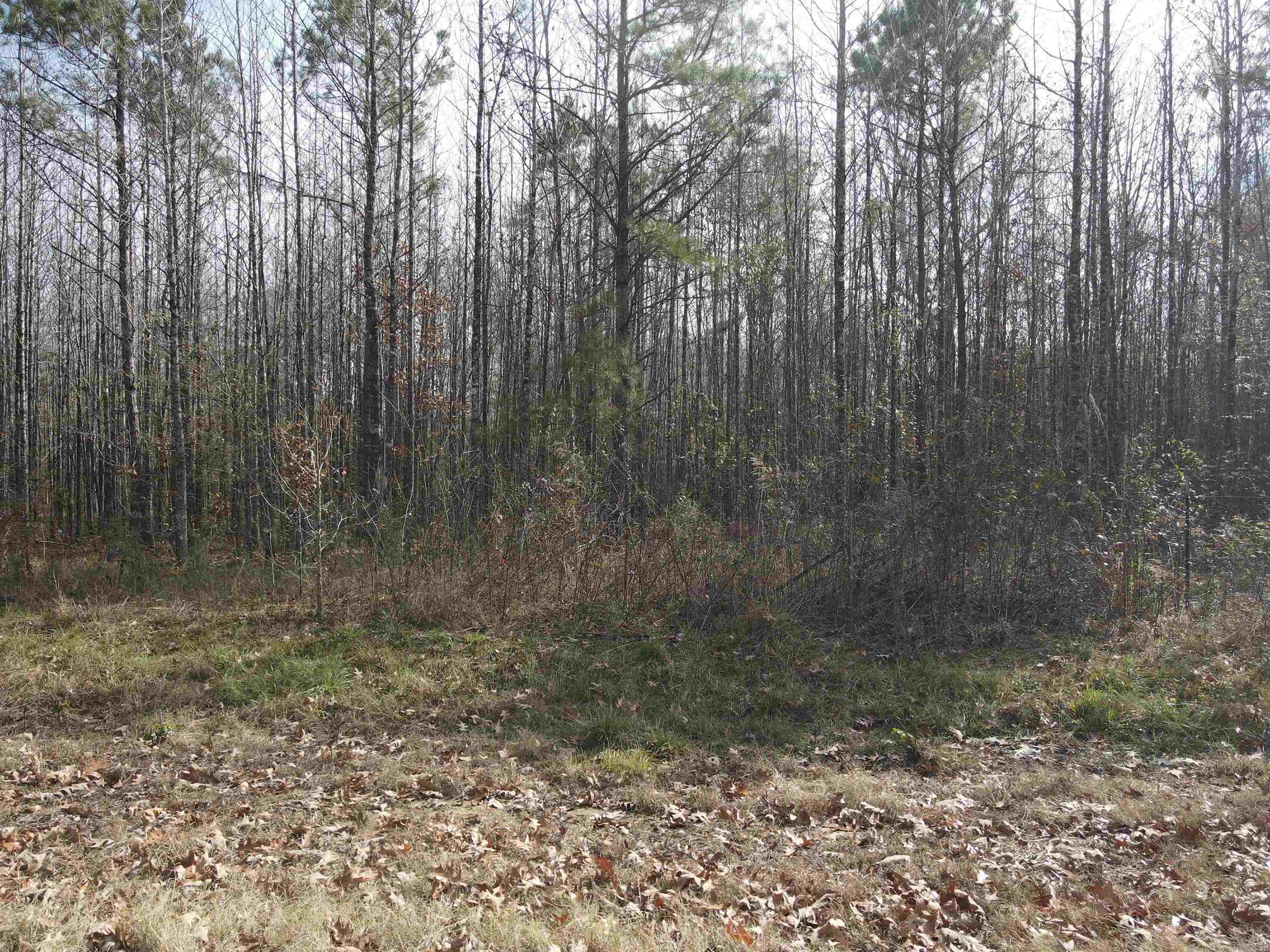 Tbd S Highway 11 Property Photo 47