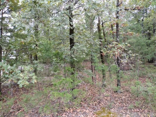 14 Soldado Lane Property Photo 2