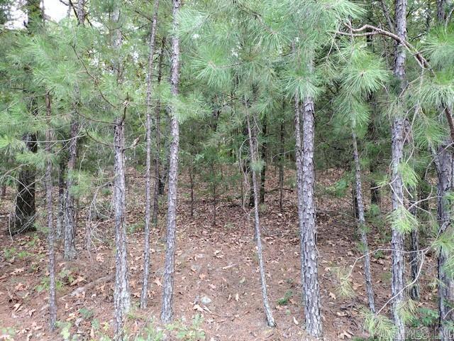 14 Soldado Lane Property Photo 4